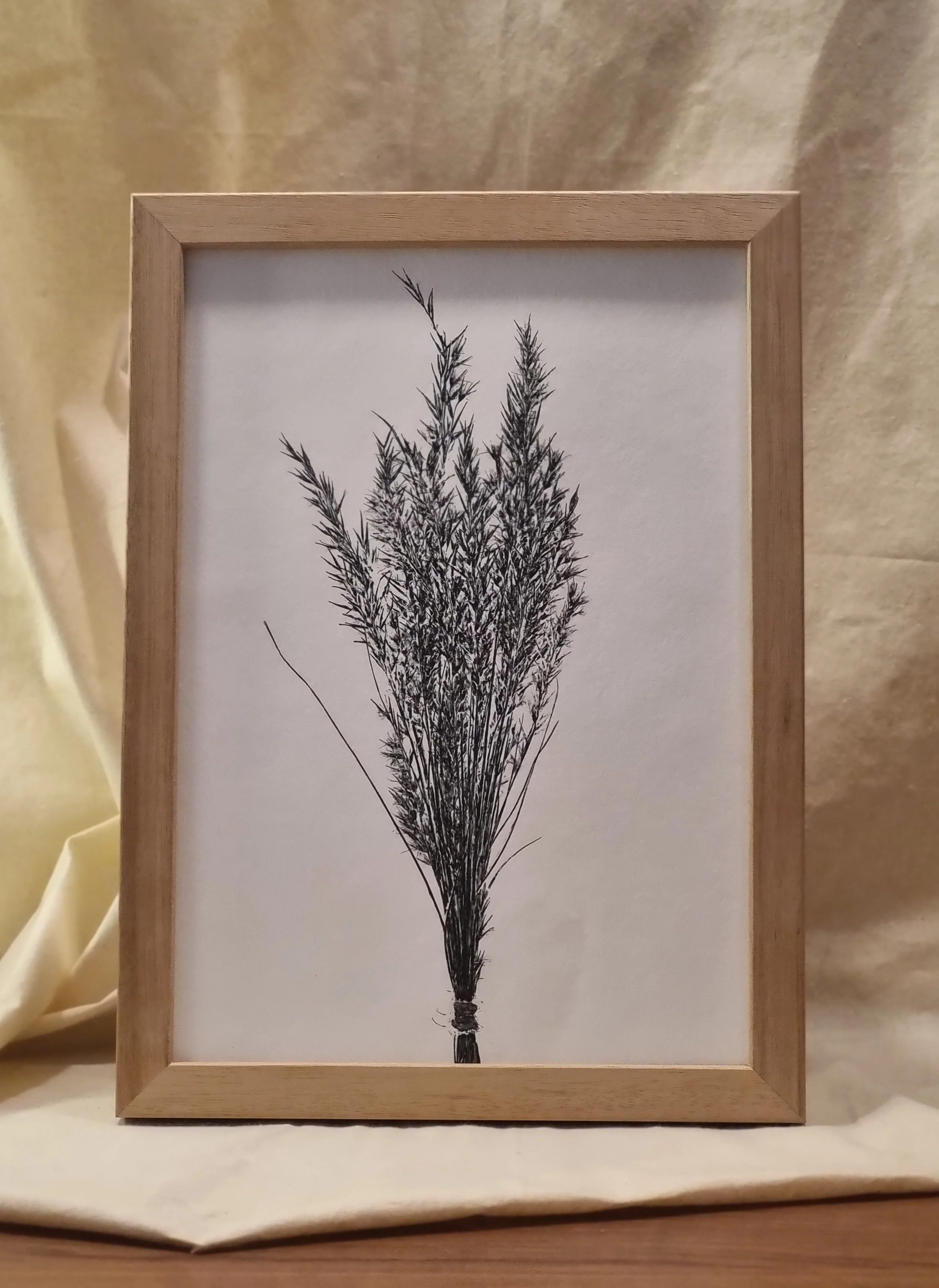 Wallaby Grass Bouquet 1, Black, Framed
