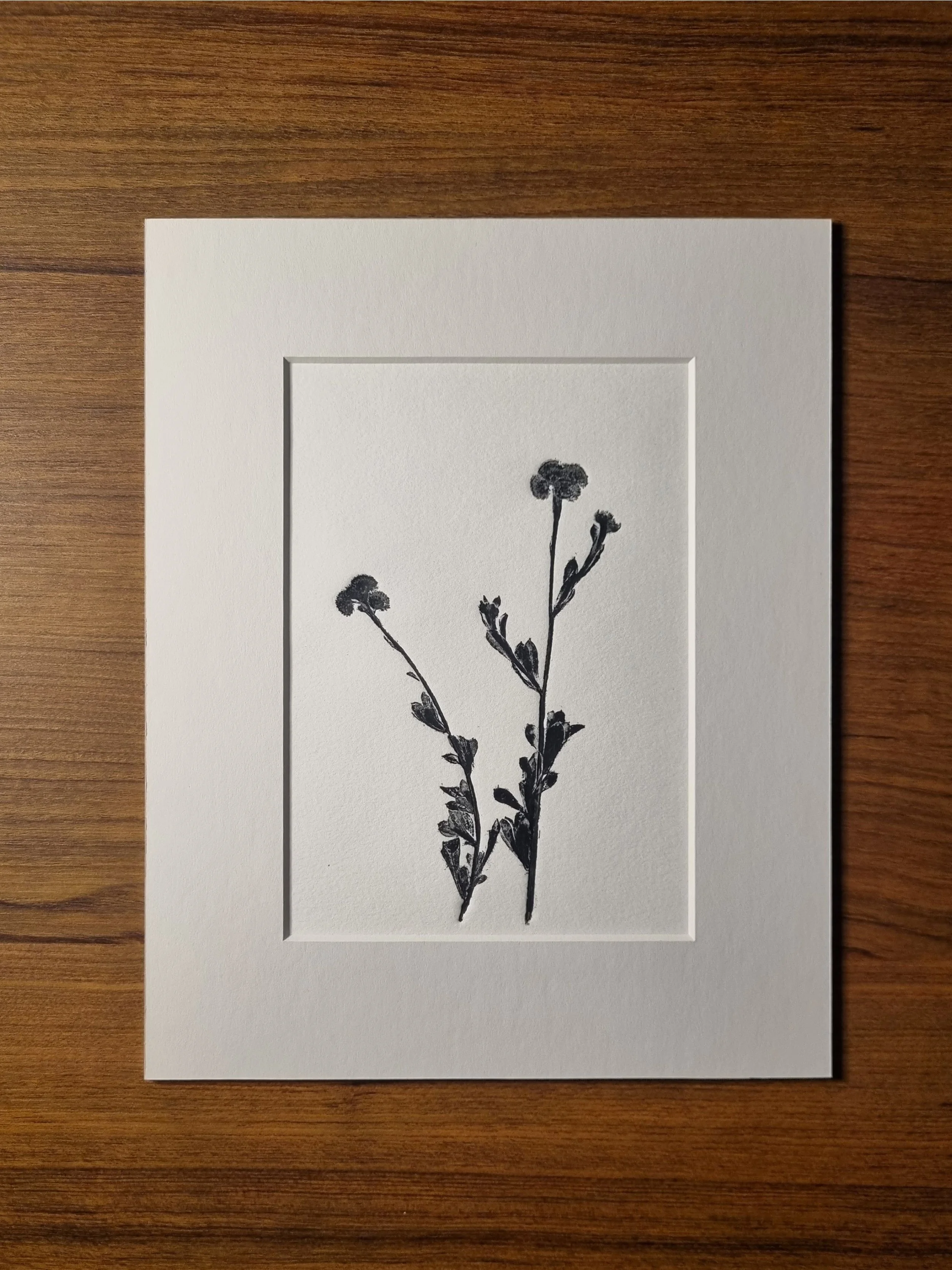 Common Everlasting 02, Positive Print, Black