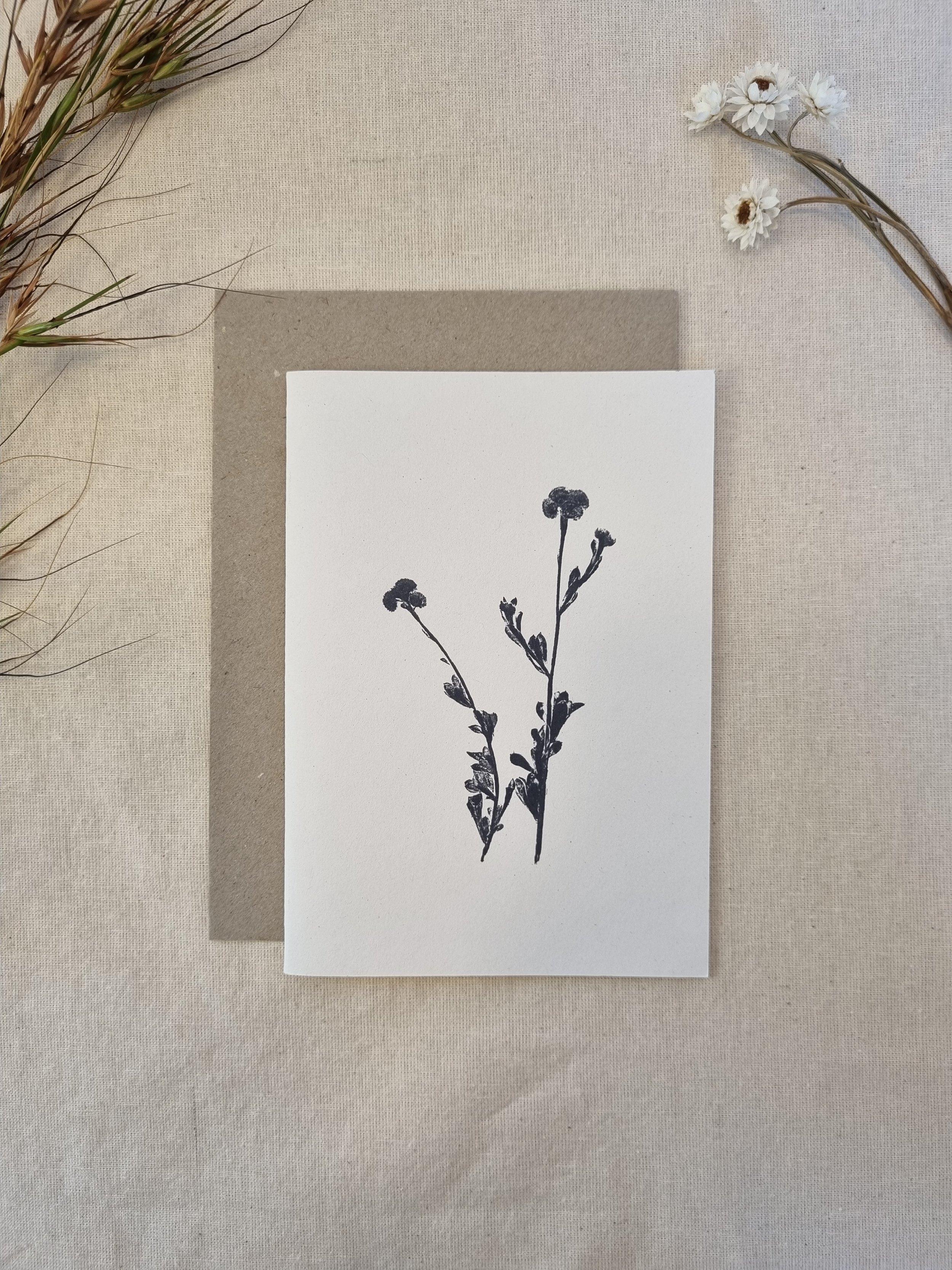 Common Everlasting — Botanical Greeting Card