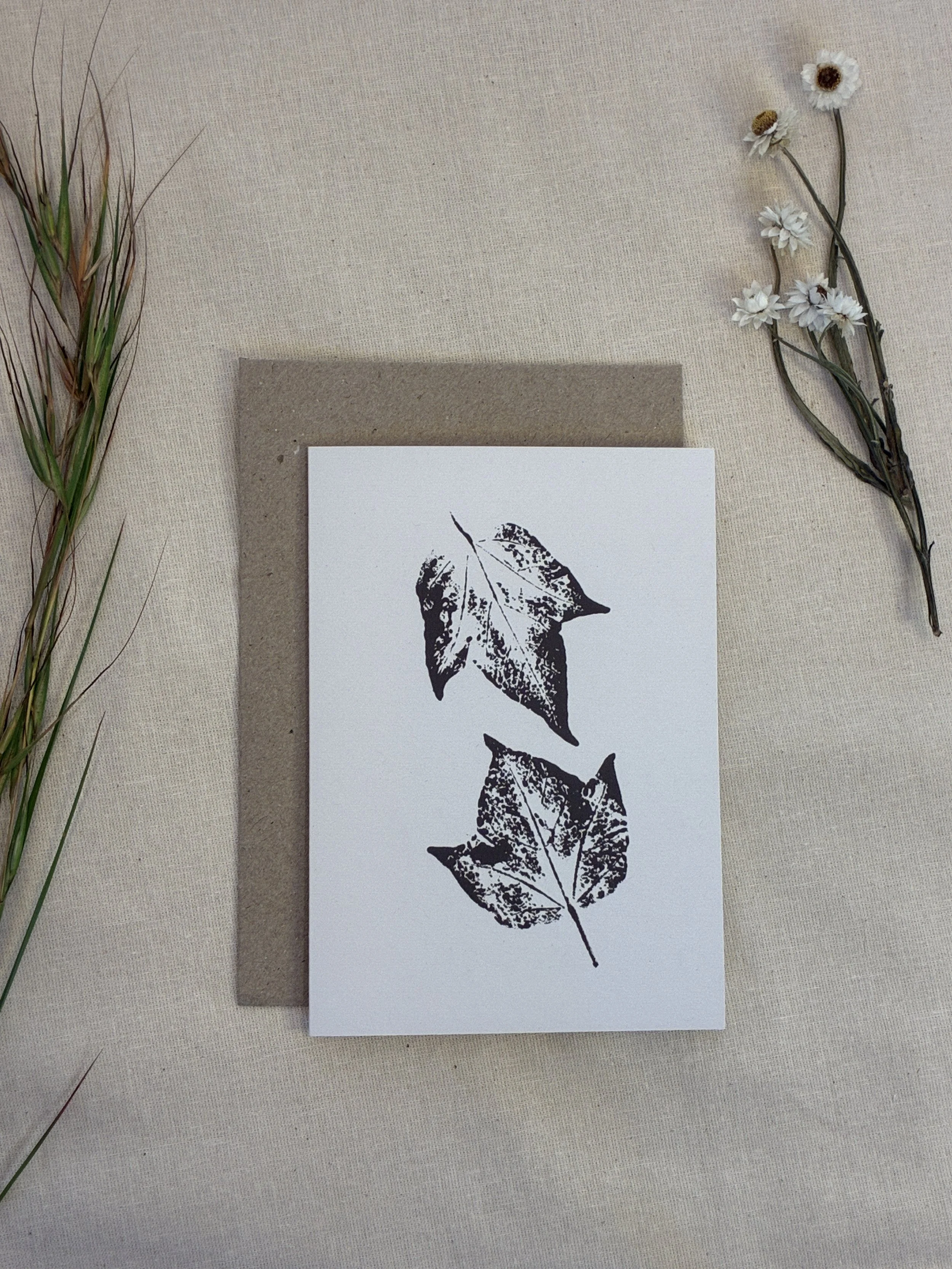 Queensland Lacebark Tree — Botanical Greeting Card