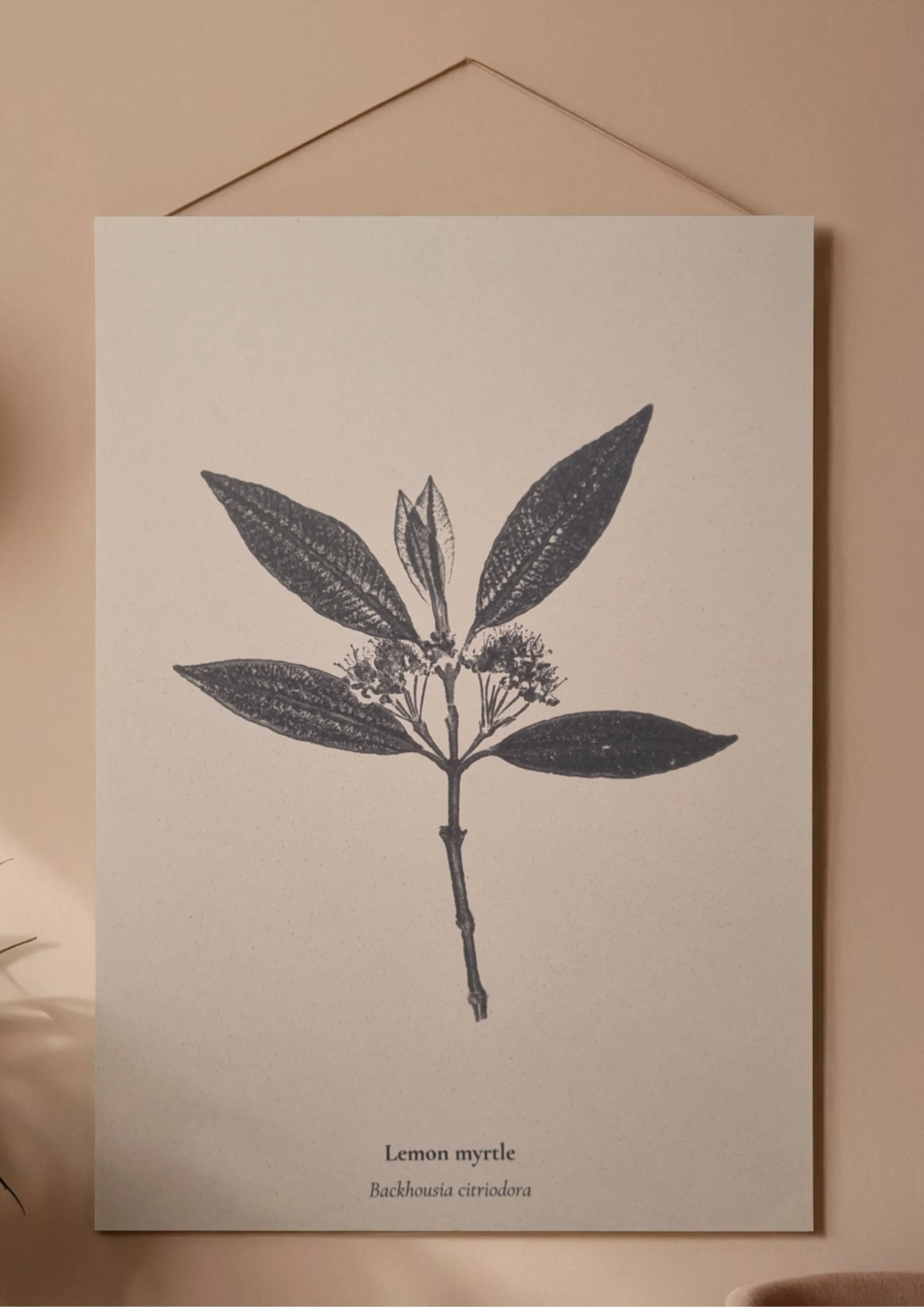 Reproduction Prints (1).jpg