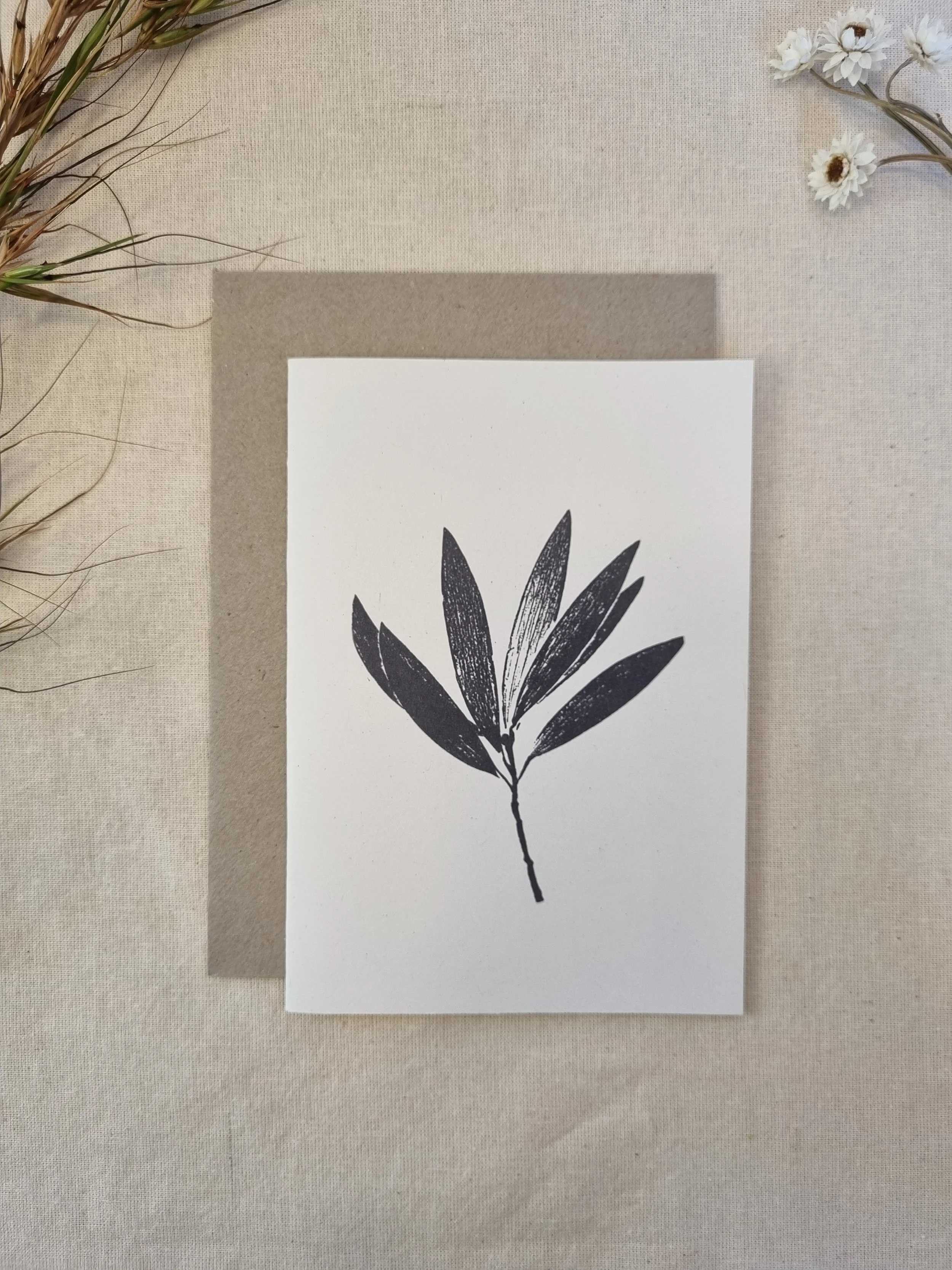Broad-Leaved Paperbark — Botanical Greeting Card