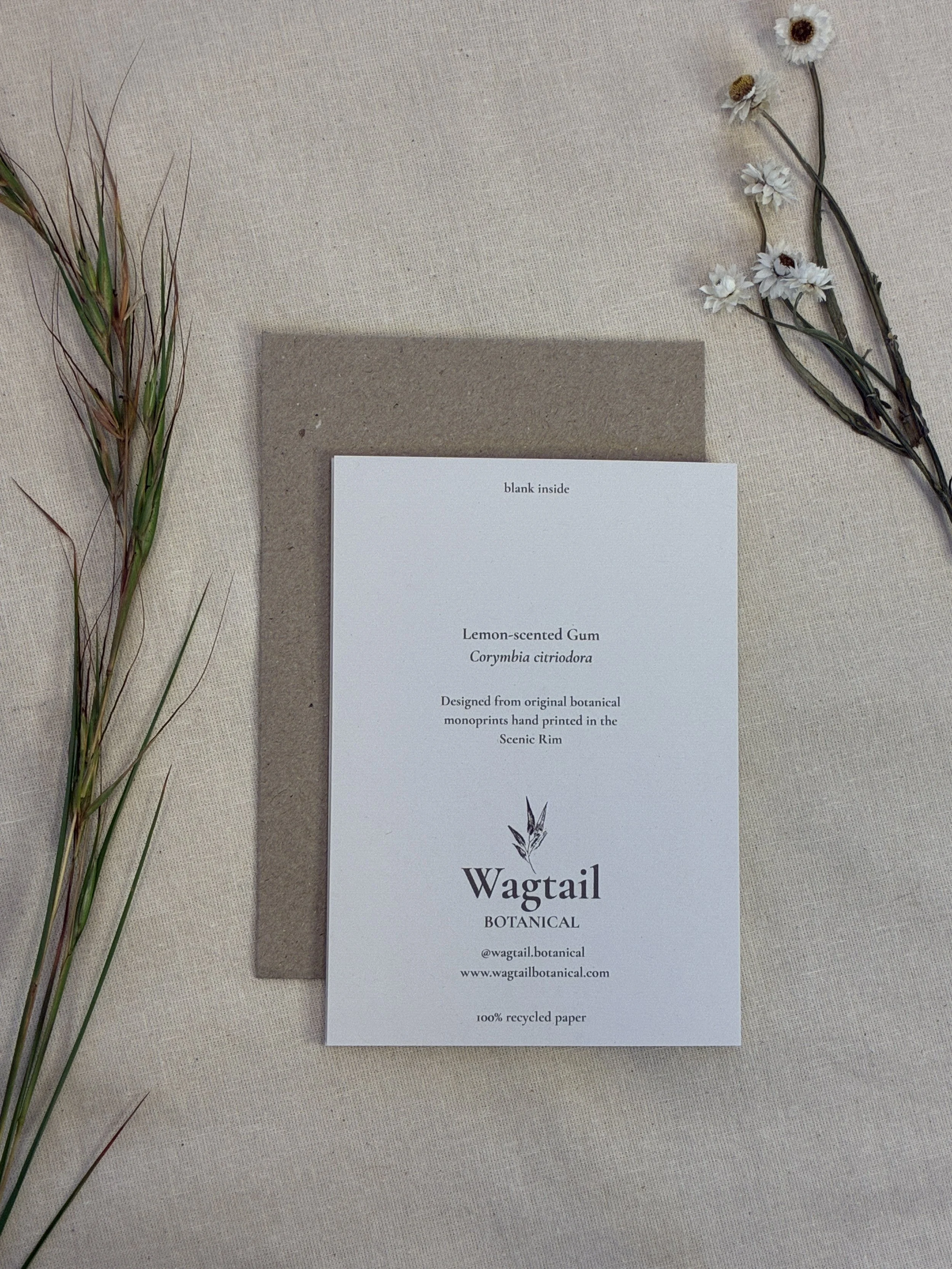 Lemon Scented Back.JPG