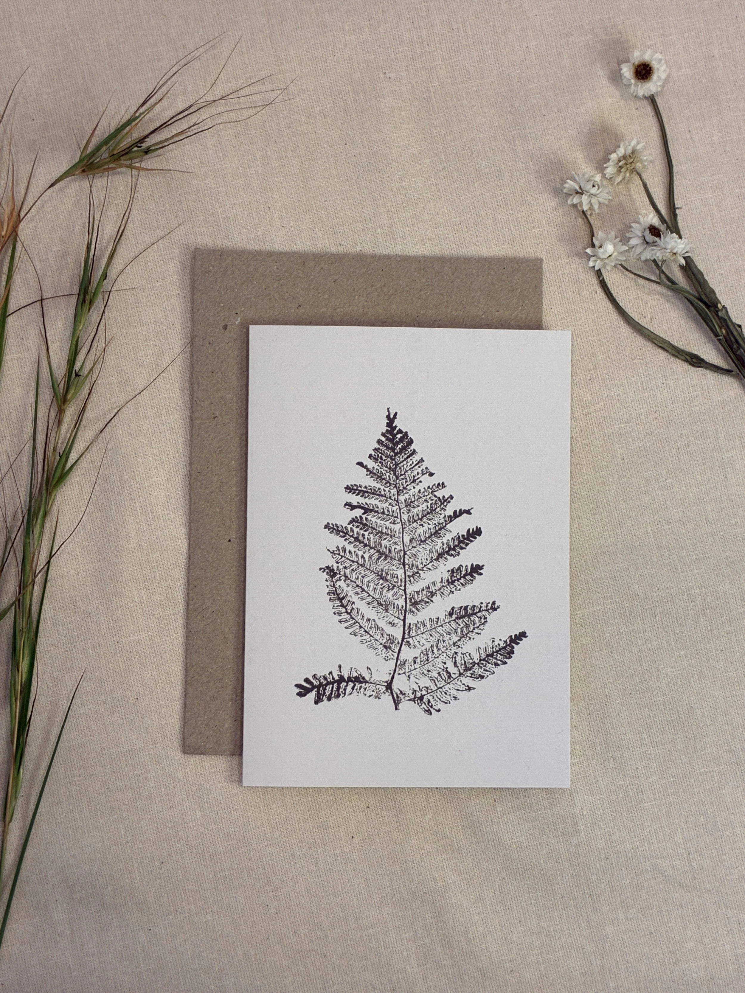 Australian Tree Fern — Botanical Greeting Card