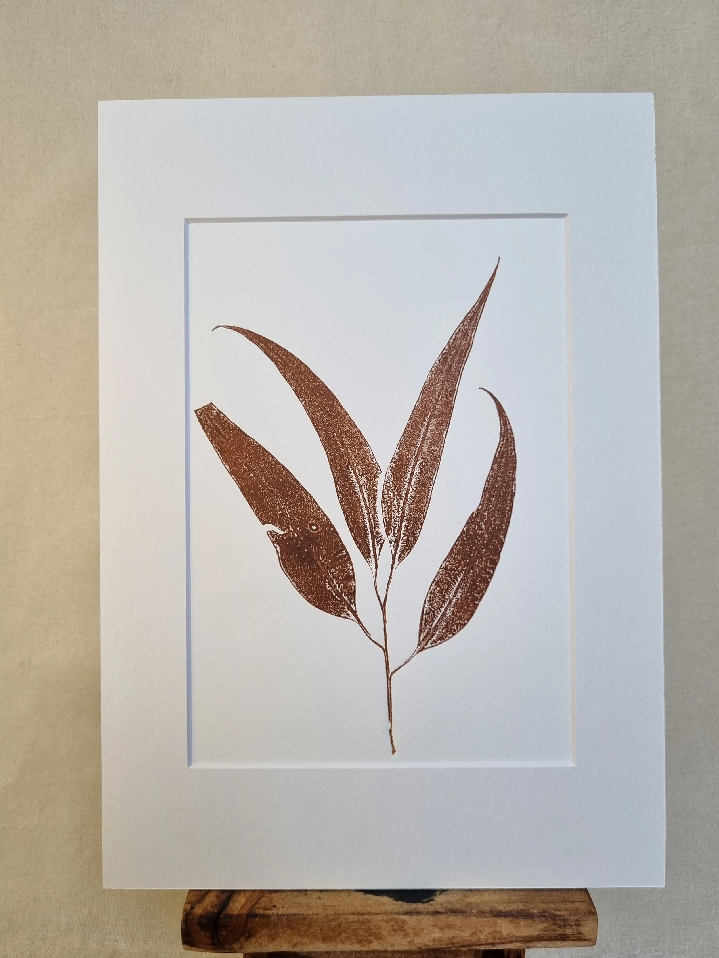 Grey Gum 1, Positive Print, Amber