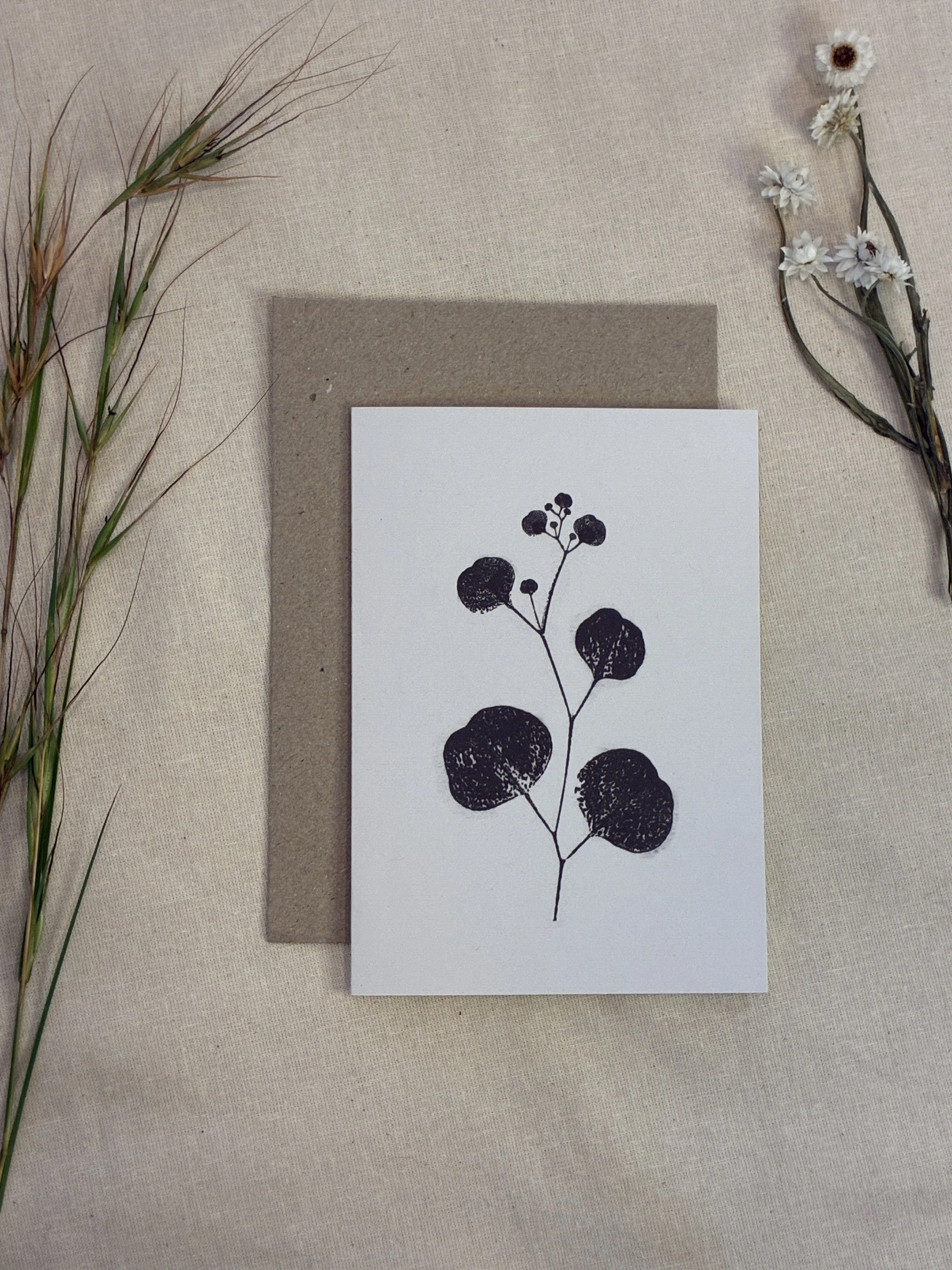 Red Box Gum Tree — Botanical Greeting Card