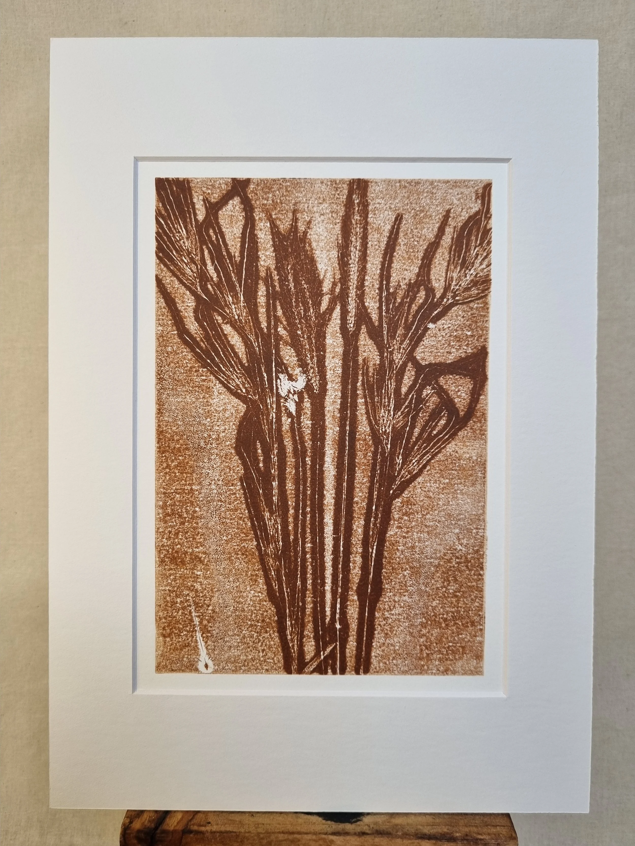 Mixed Native Grass 1, Ghost Print, Amber
