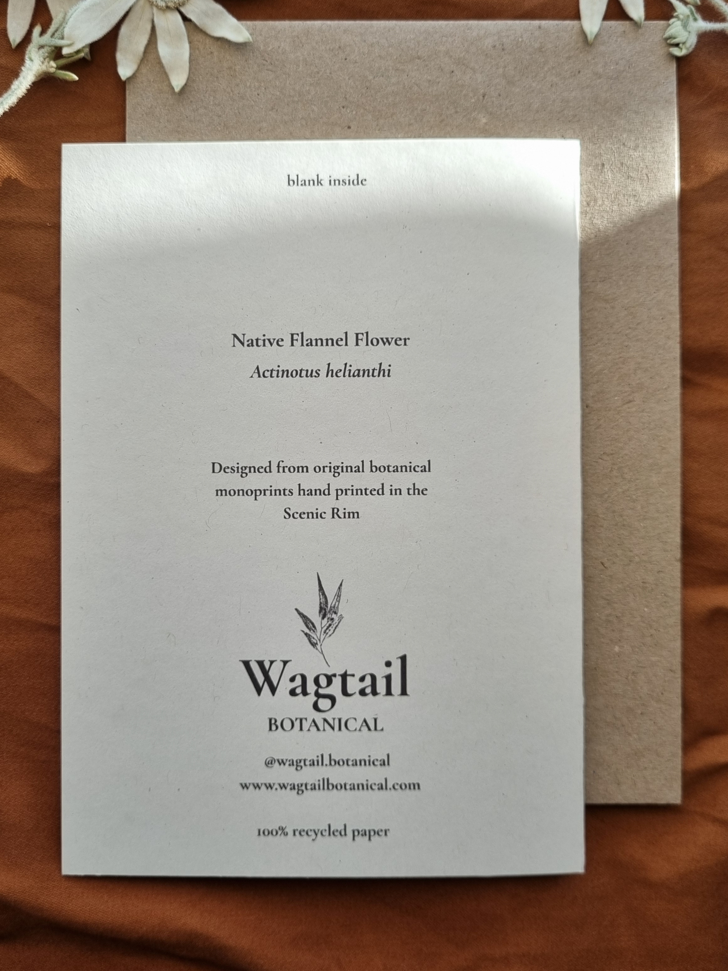3.png (Copy)