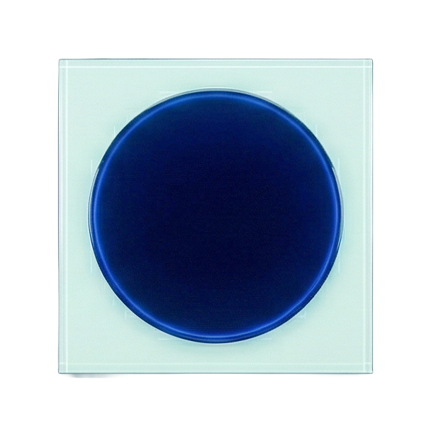 A dark blue or black circular object on a light background.