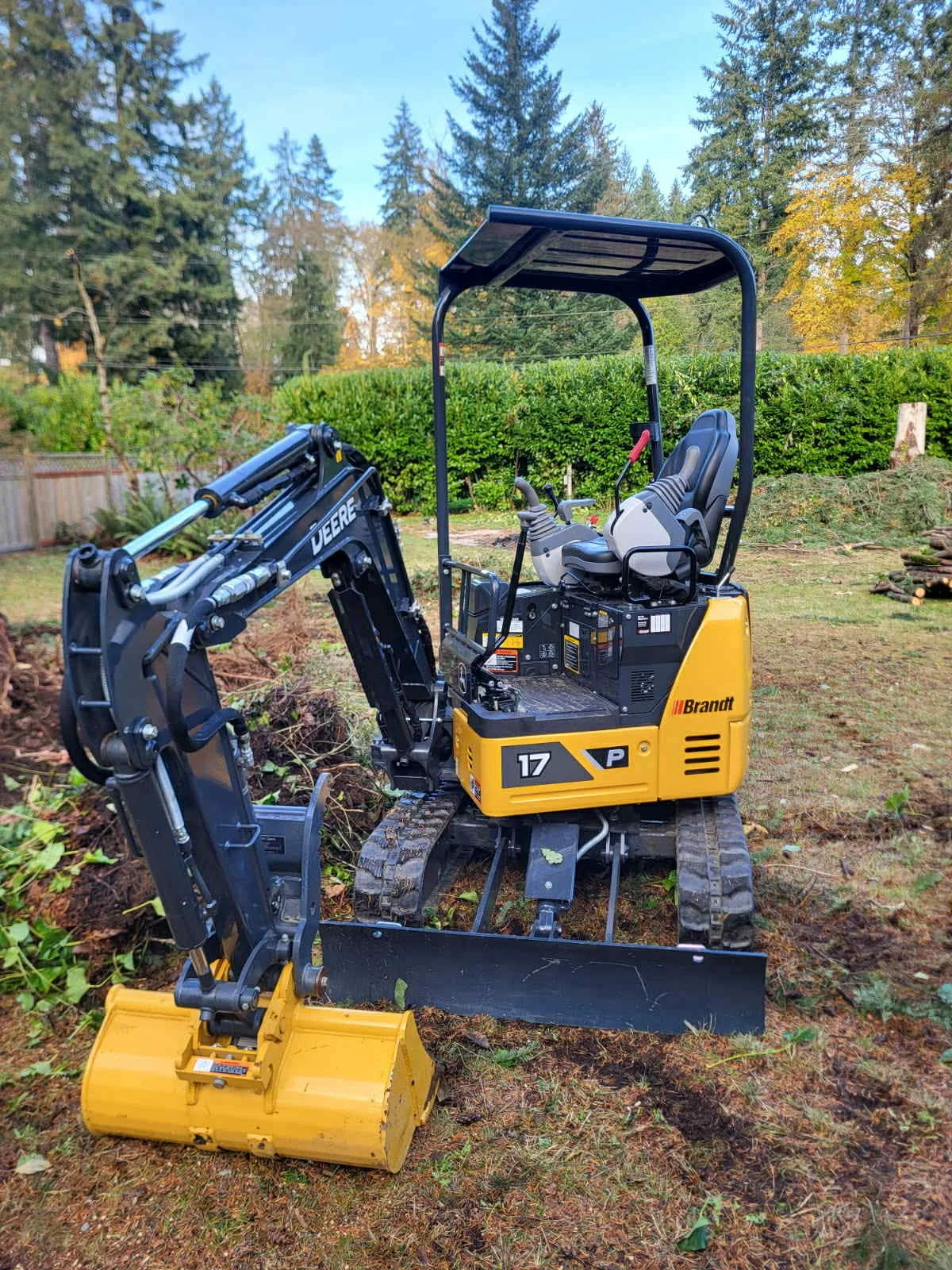 A small yellow and black compact excavator with a bucket attachment parked on a grassy area in a backyard with trees and bushes in the background.