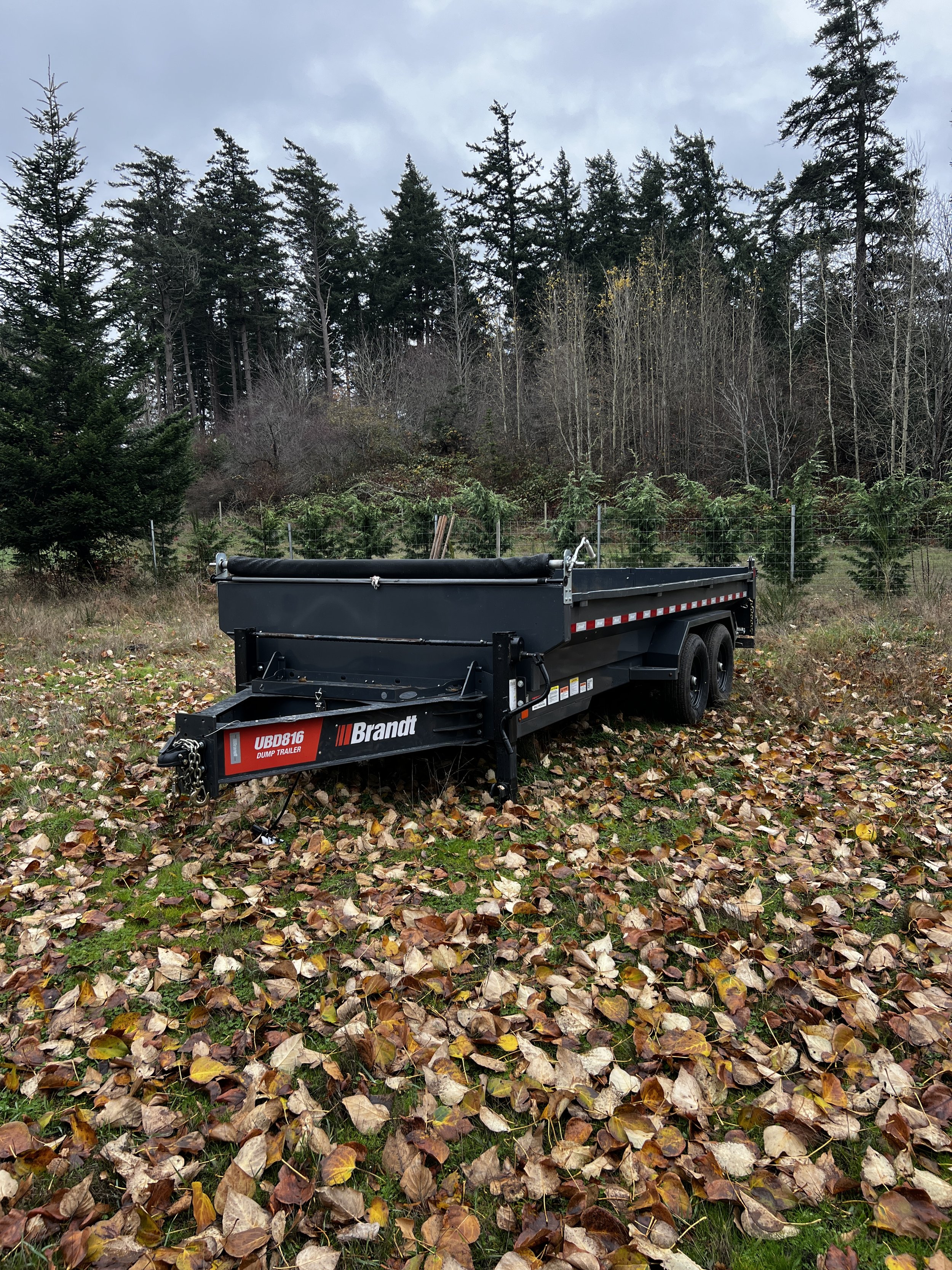 A black dump trailer parked on a field covered in fallen leaves, with a background of evergreen and deciduous trees under a cloudy sky.