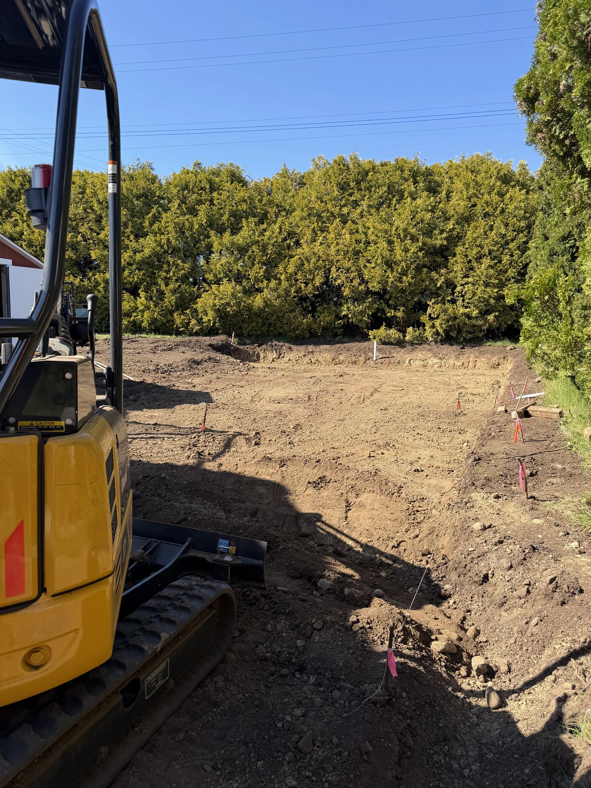 Construction site with excavator on dirt, marked with pink flags, and a green tree in the background under a blue sky.