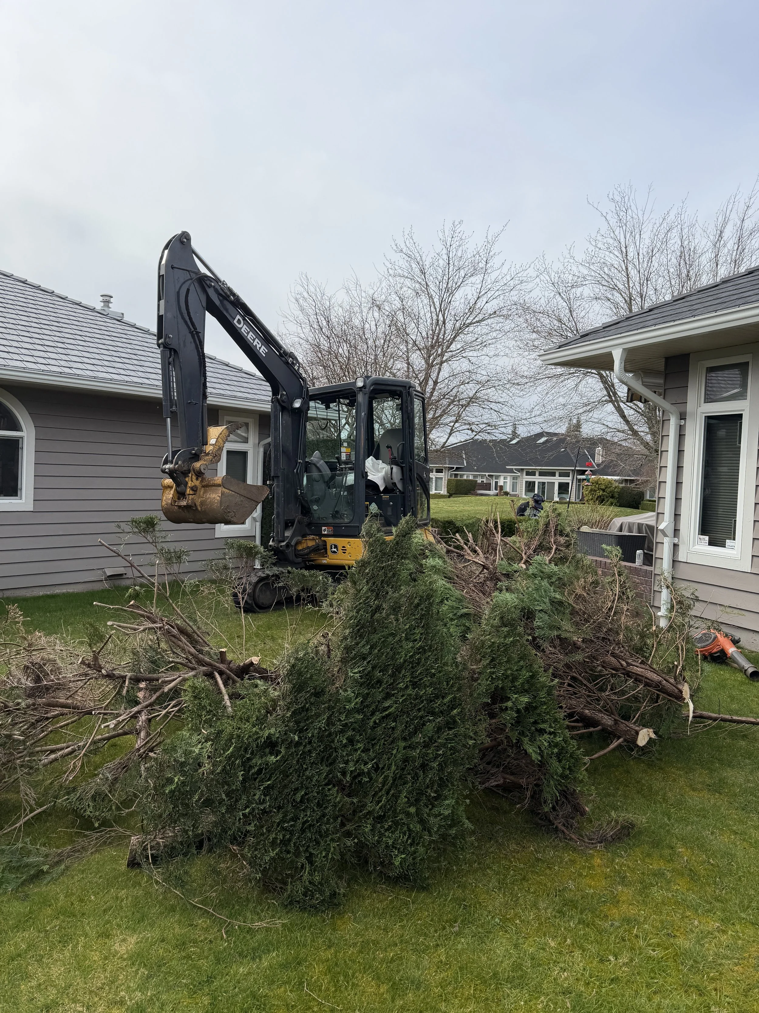 A small black and yellow excavator clearing fallen tree branches in a backyard.