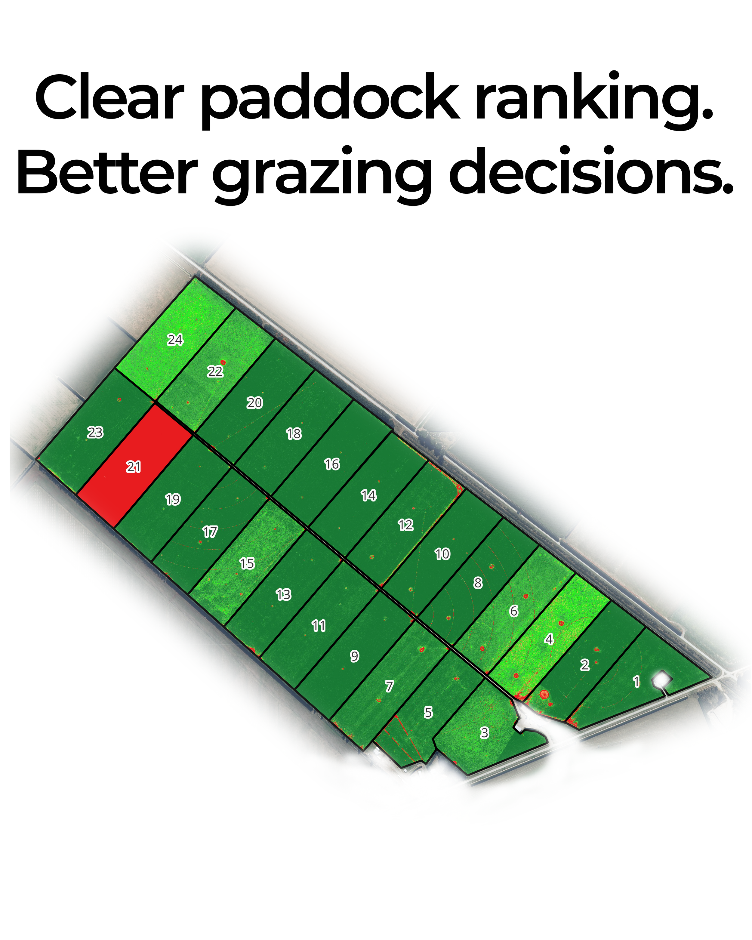 Drone pasture map showing paddock dry matter (kg DM/ha)
'Clear paddock ranking. Better grazing decisions.'
