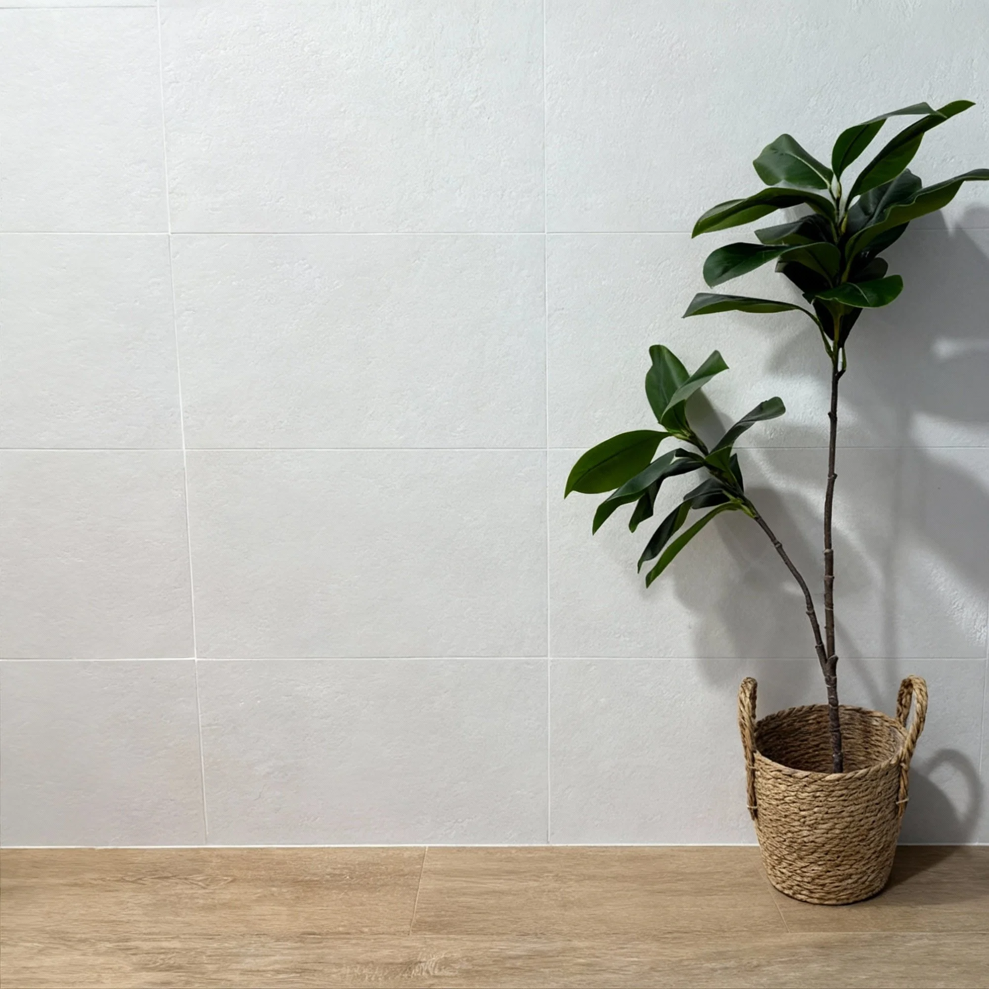 Iris – Ficus artificial