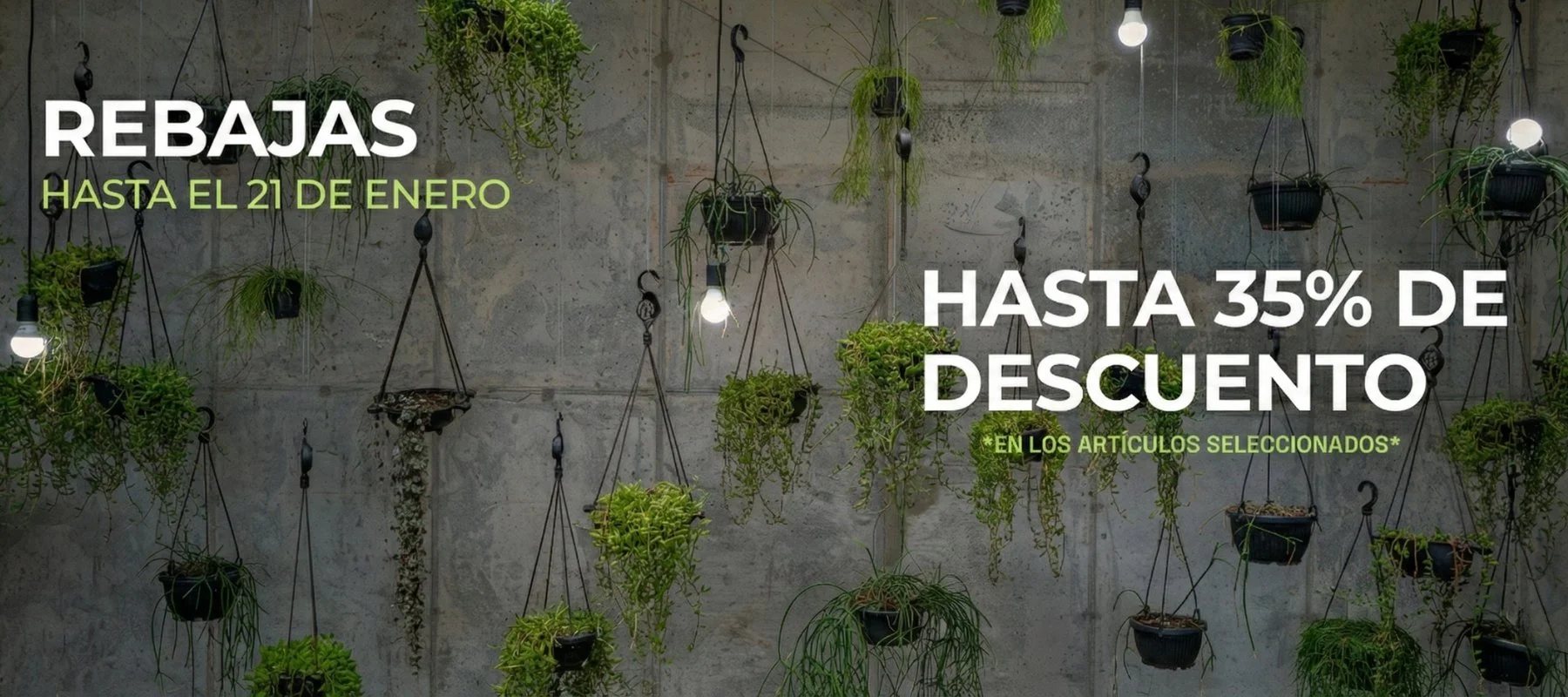 Diseño sin título(4).jpg