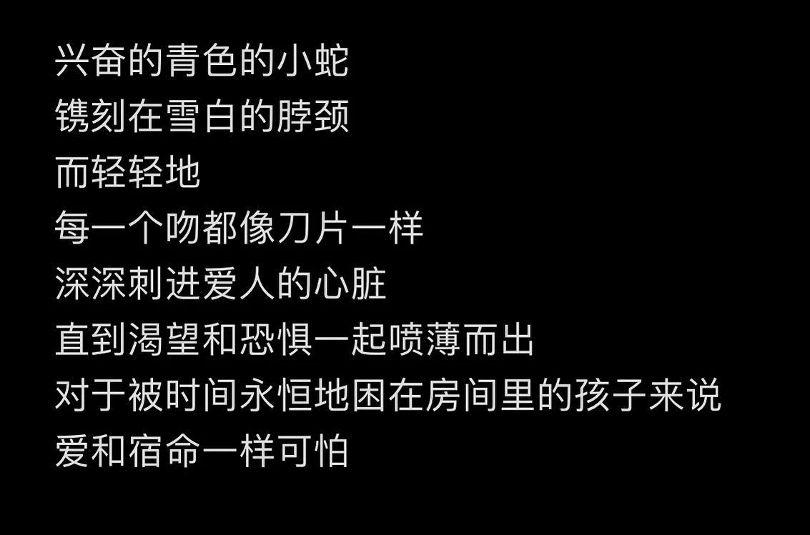 爱和宿命一样可怕