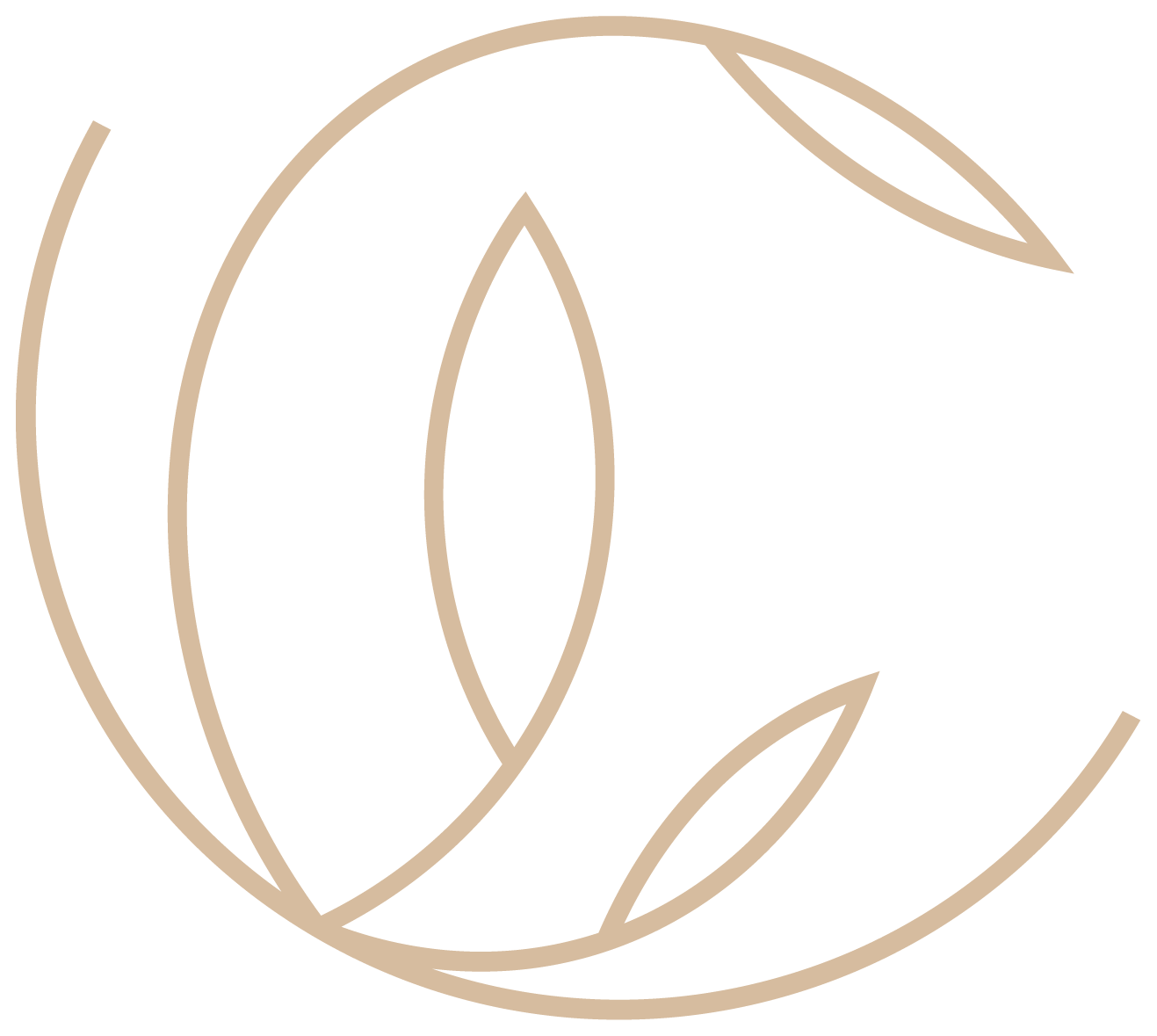 Minimalist beige outline of a stylized citrus fruit with leaves.