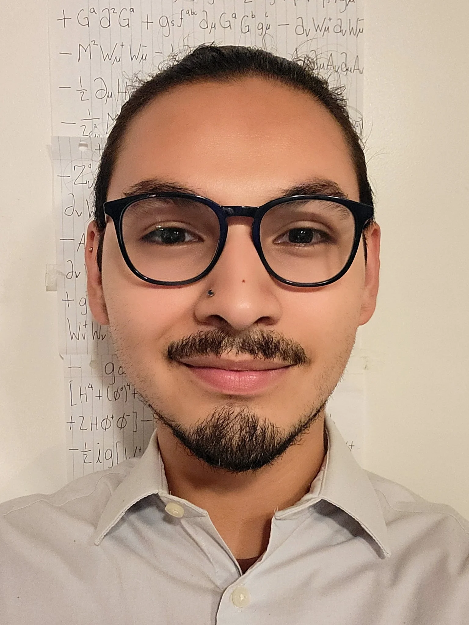 Portrait of a person with dark hair, glasses, a mustache, and a goatee, wearing a light-colored collared shirt, smiling in front of a wall with handwritten mathematical equations.