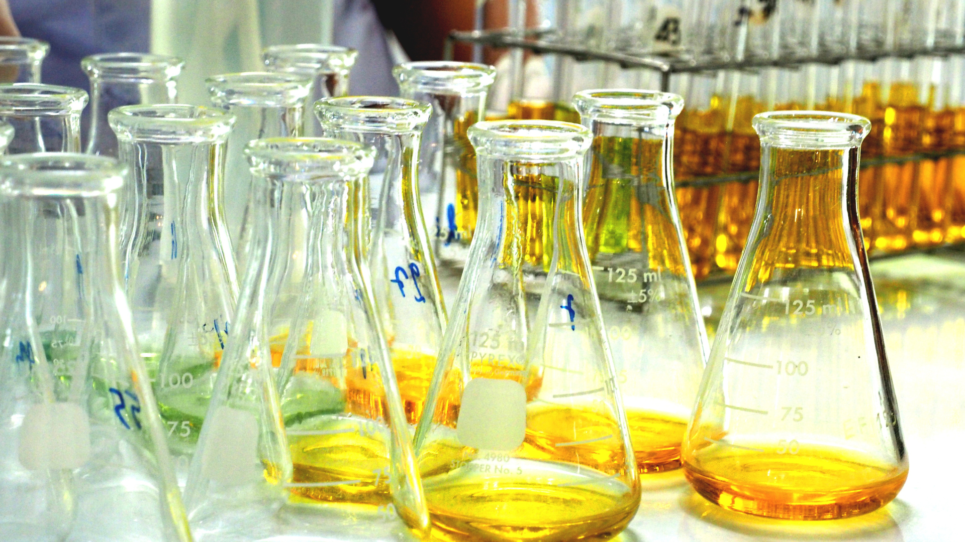 Ochem Worksheet 02 Naming Practice and Newman Projections