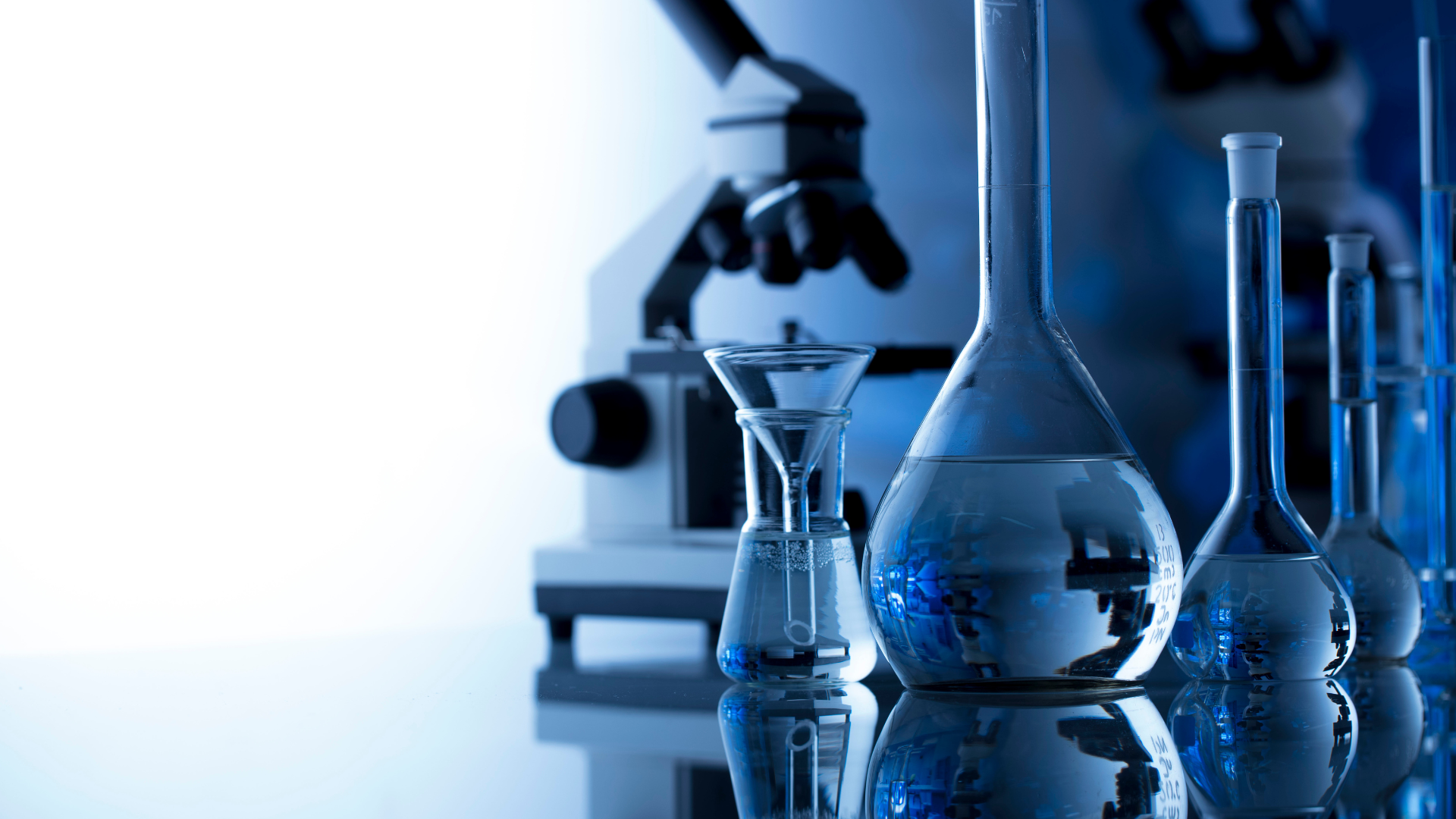 Ochem Worksheet 10 Alkynes