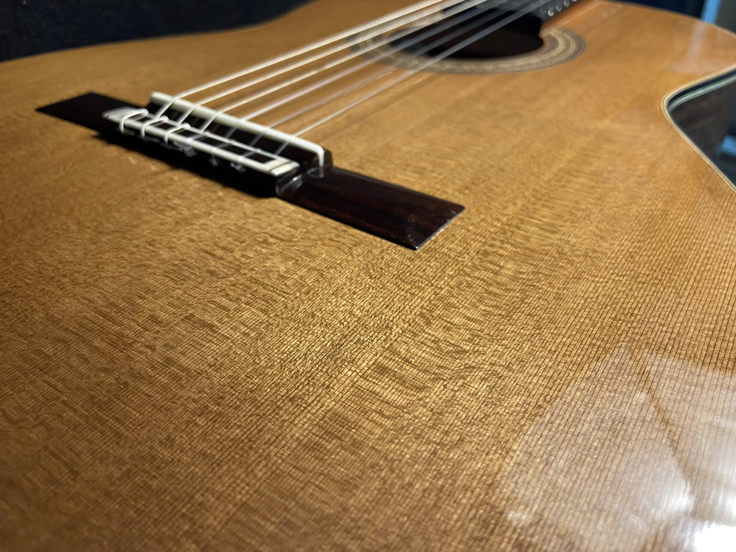 Sergio Damián Wilson