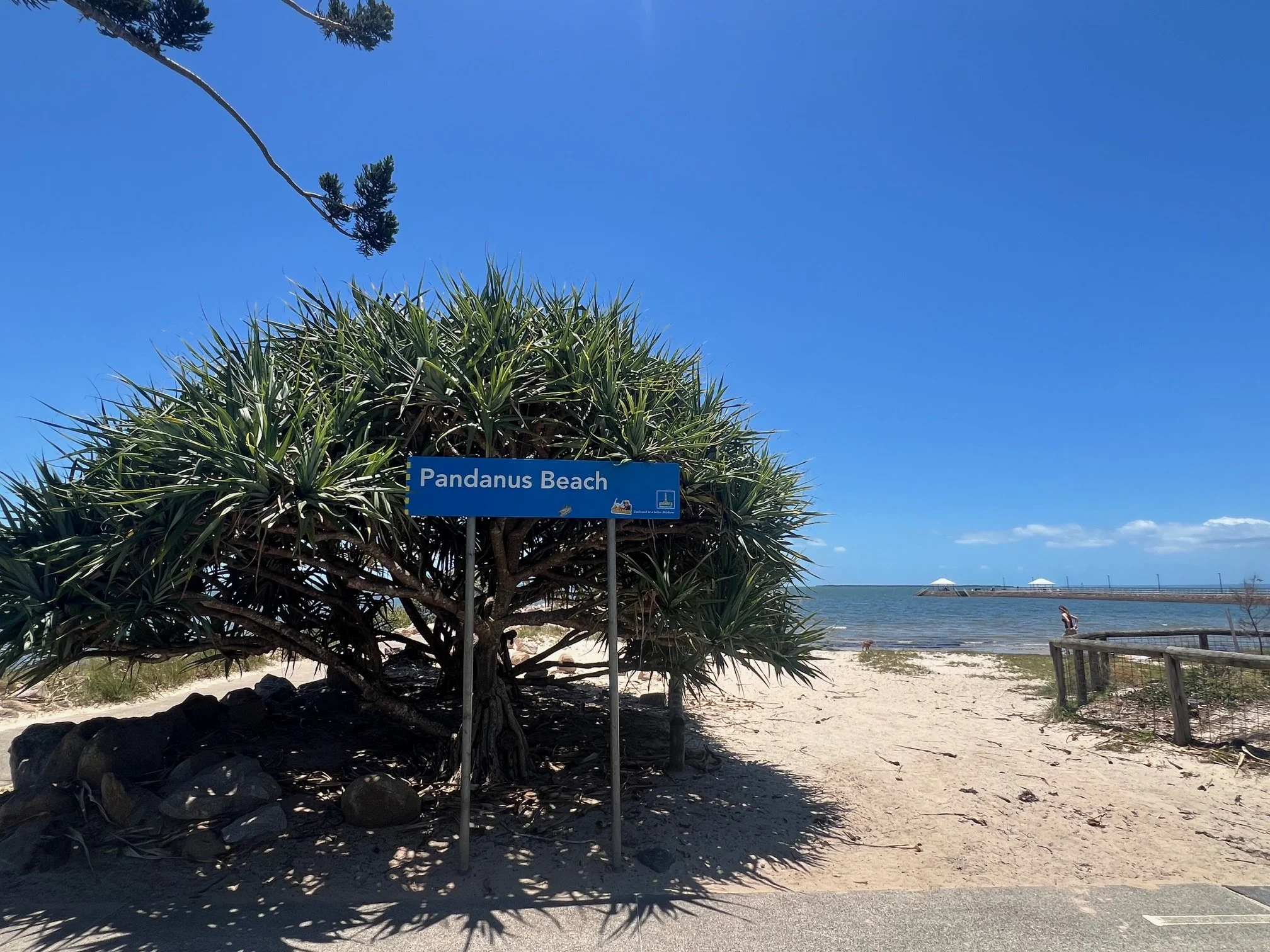wynnum beach 2 .jpg