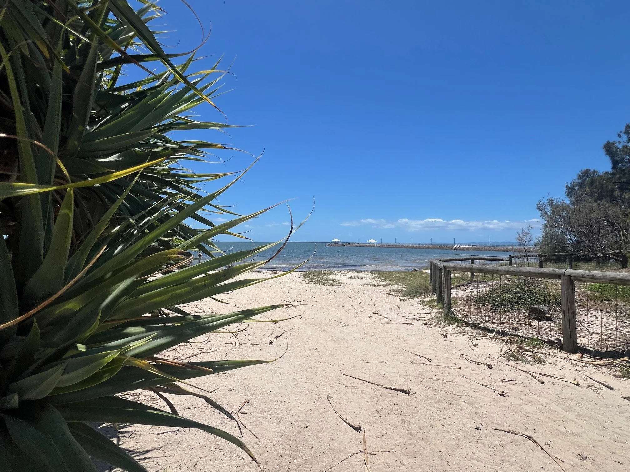 Wynnum beach 3 .jpg