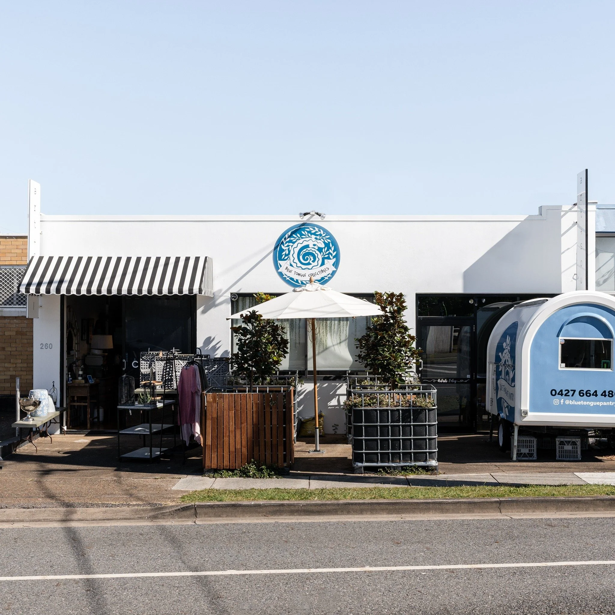 Blue Tongue Collectables 1.jpg