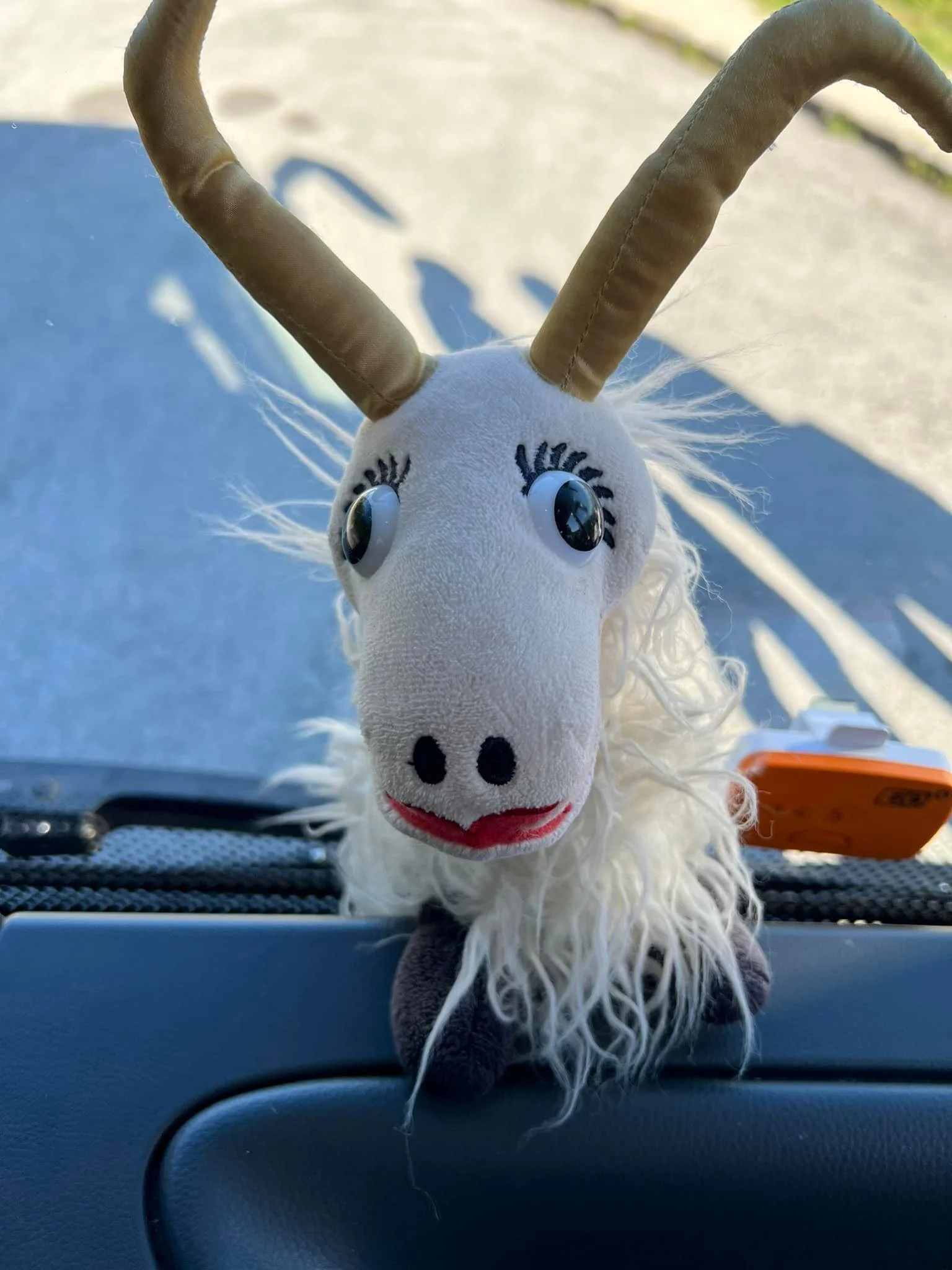 Sound of Music 5.jpg