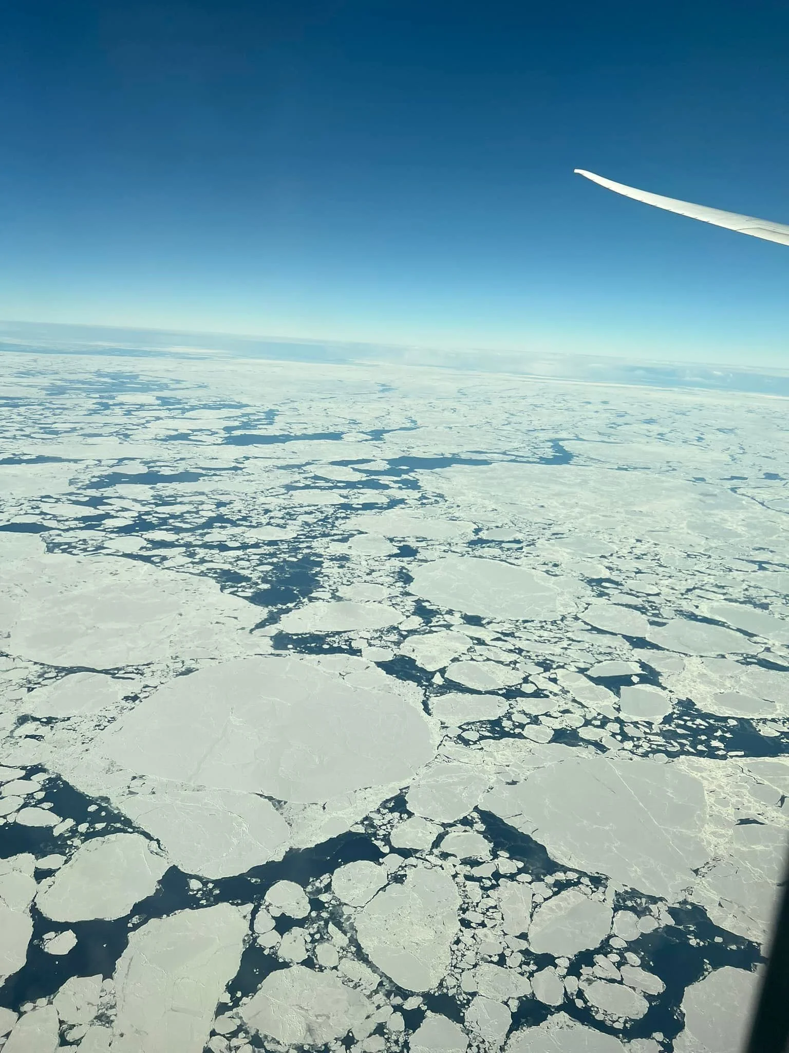 Antarctica 3.jpg