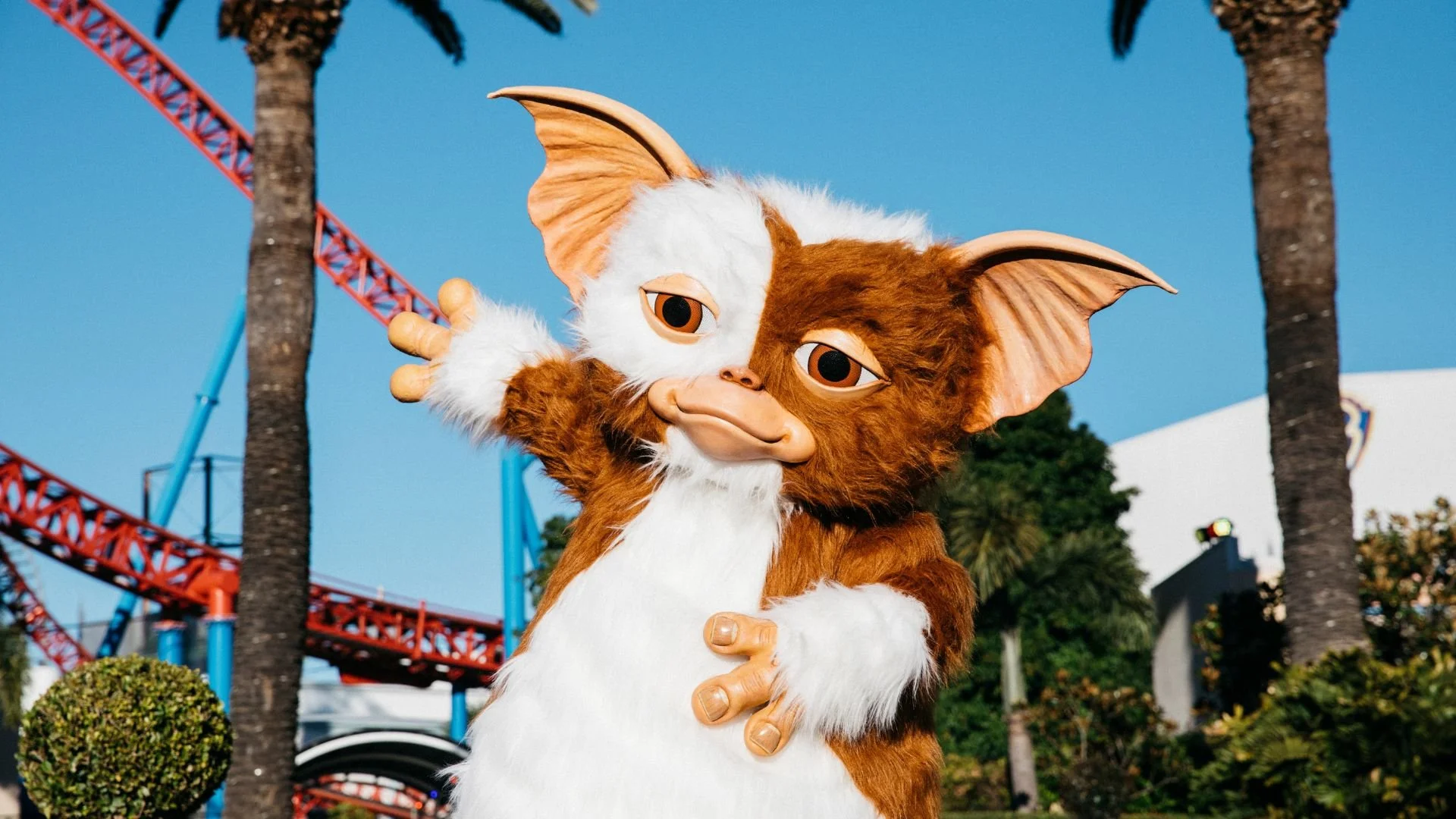 HFH_Gizmo_1920x1080 (1).jpg