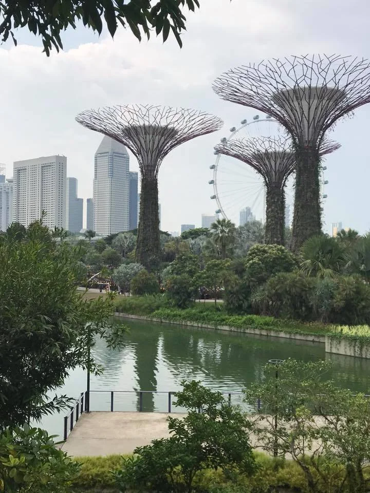 Singapore 3.jpg