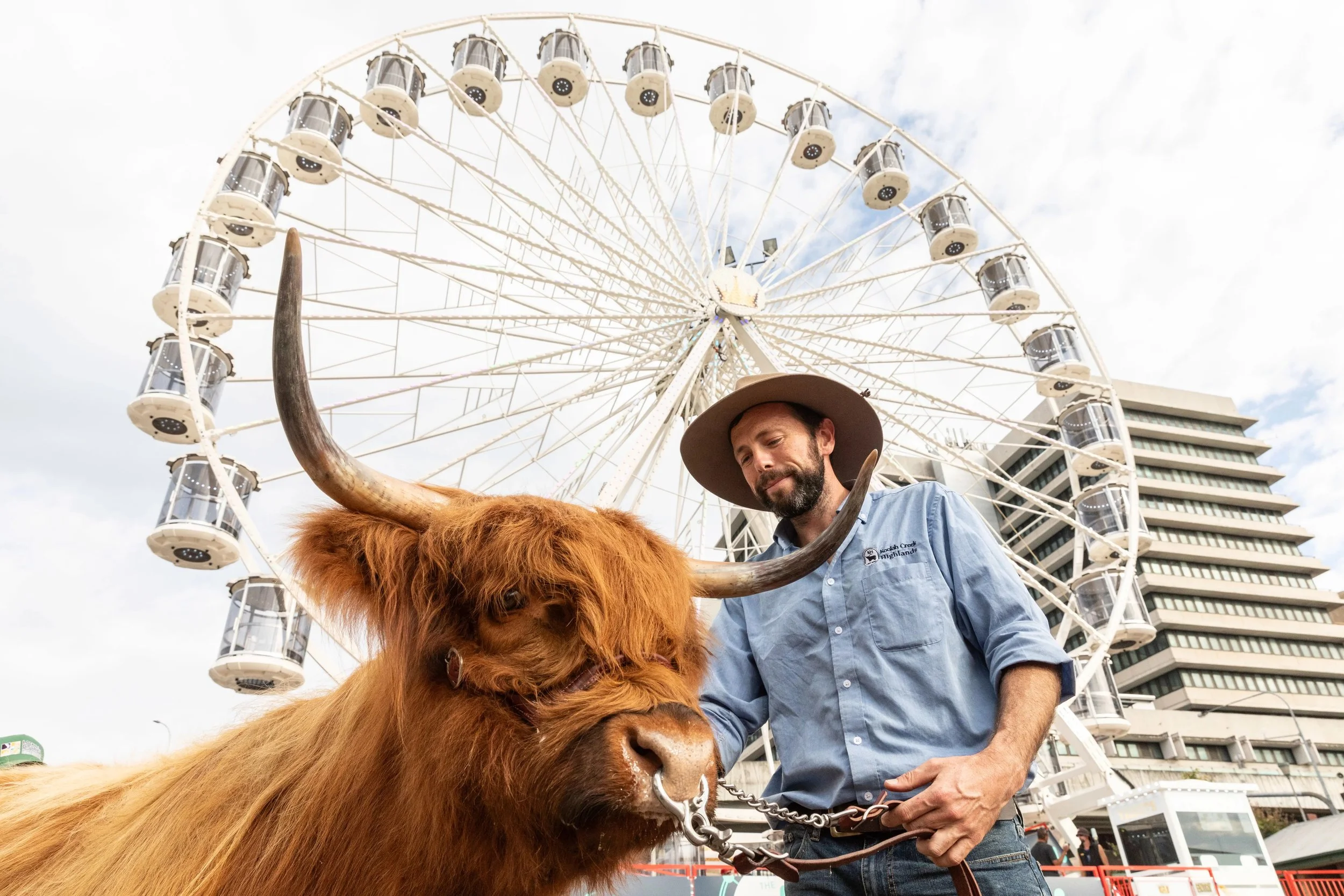 Roll up, roll up: 10 reasons to explore SEQ’s agricultural shows