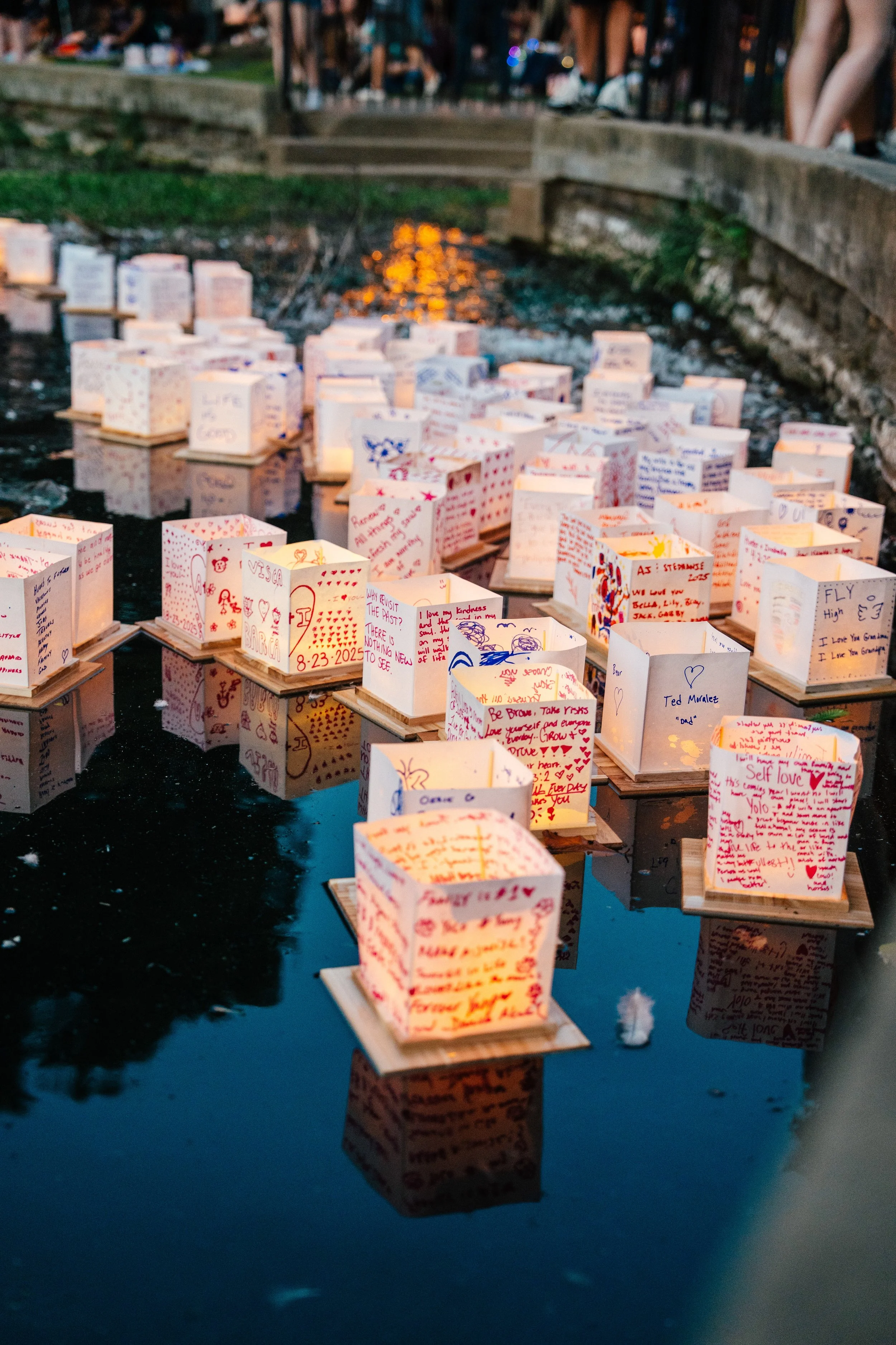 Brisbane Water Lantern Festival 4.jpeg