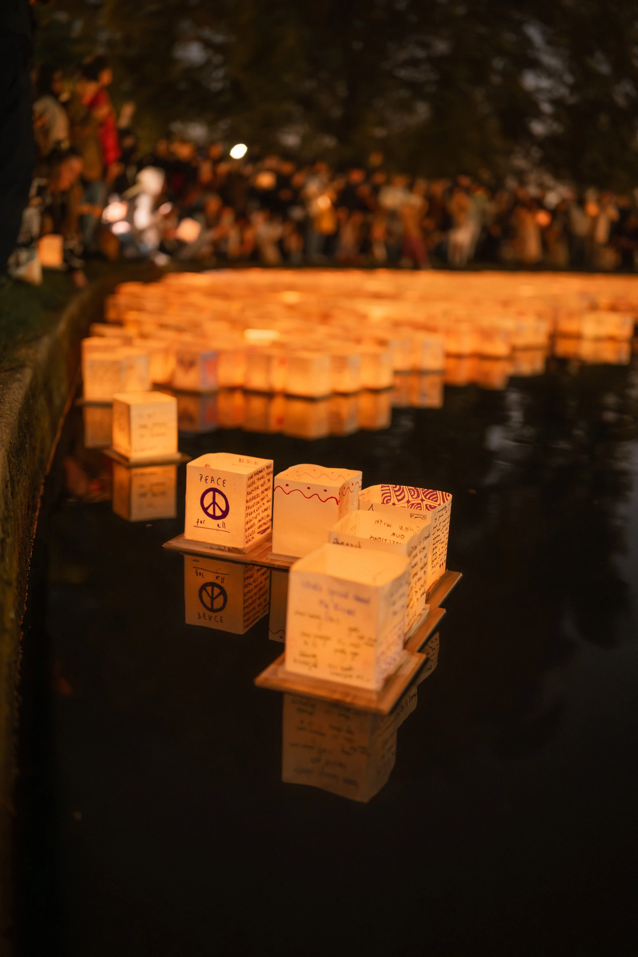 Brisbane Water Lantern Festival 5.jpeg