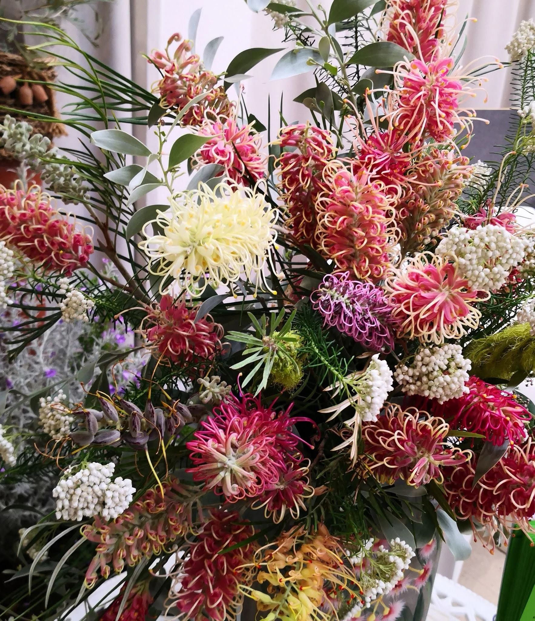 Native Plants Market 1 .jpg