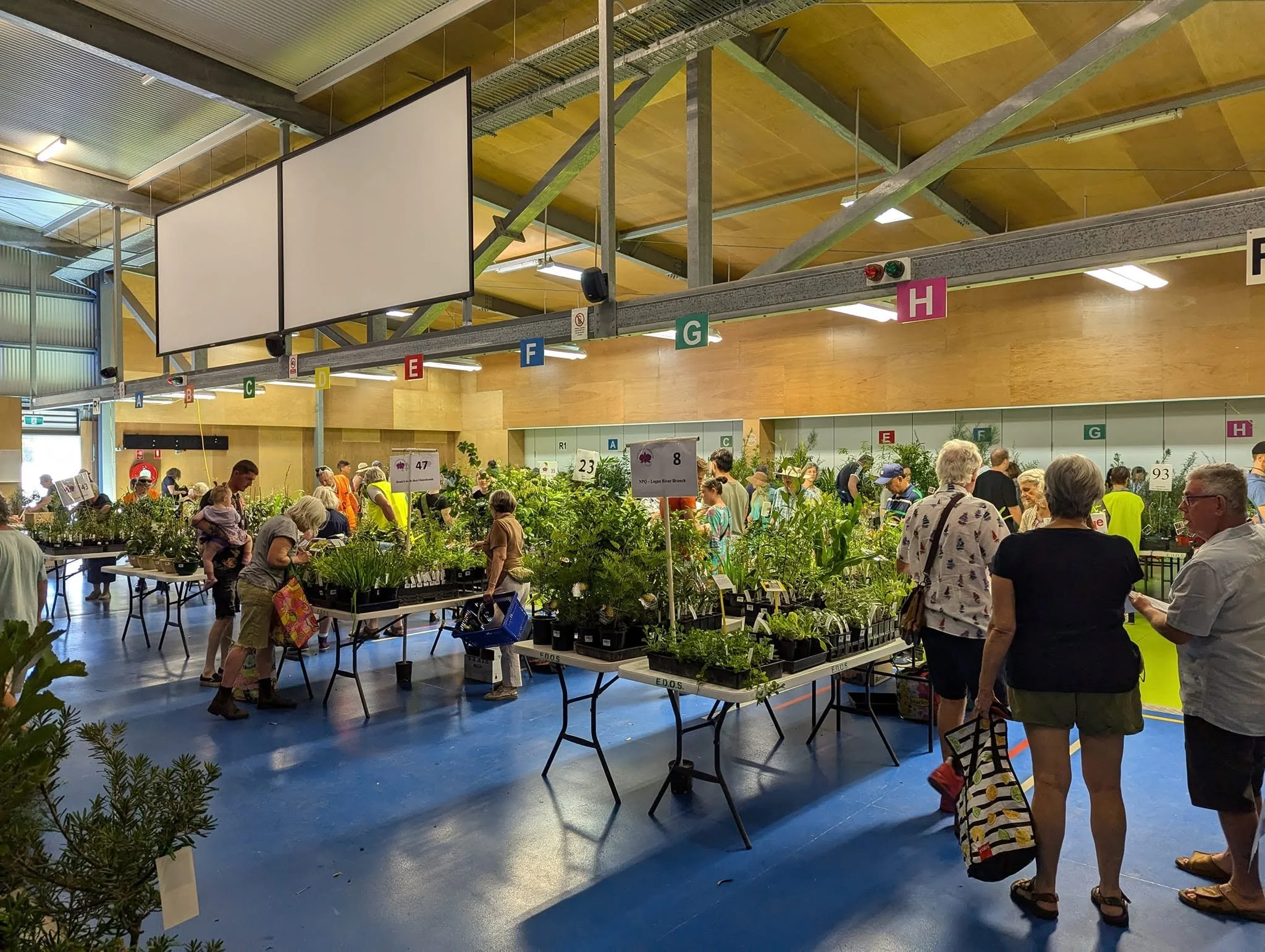 Native Plants Market 4 .jpg