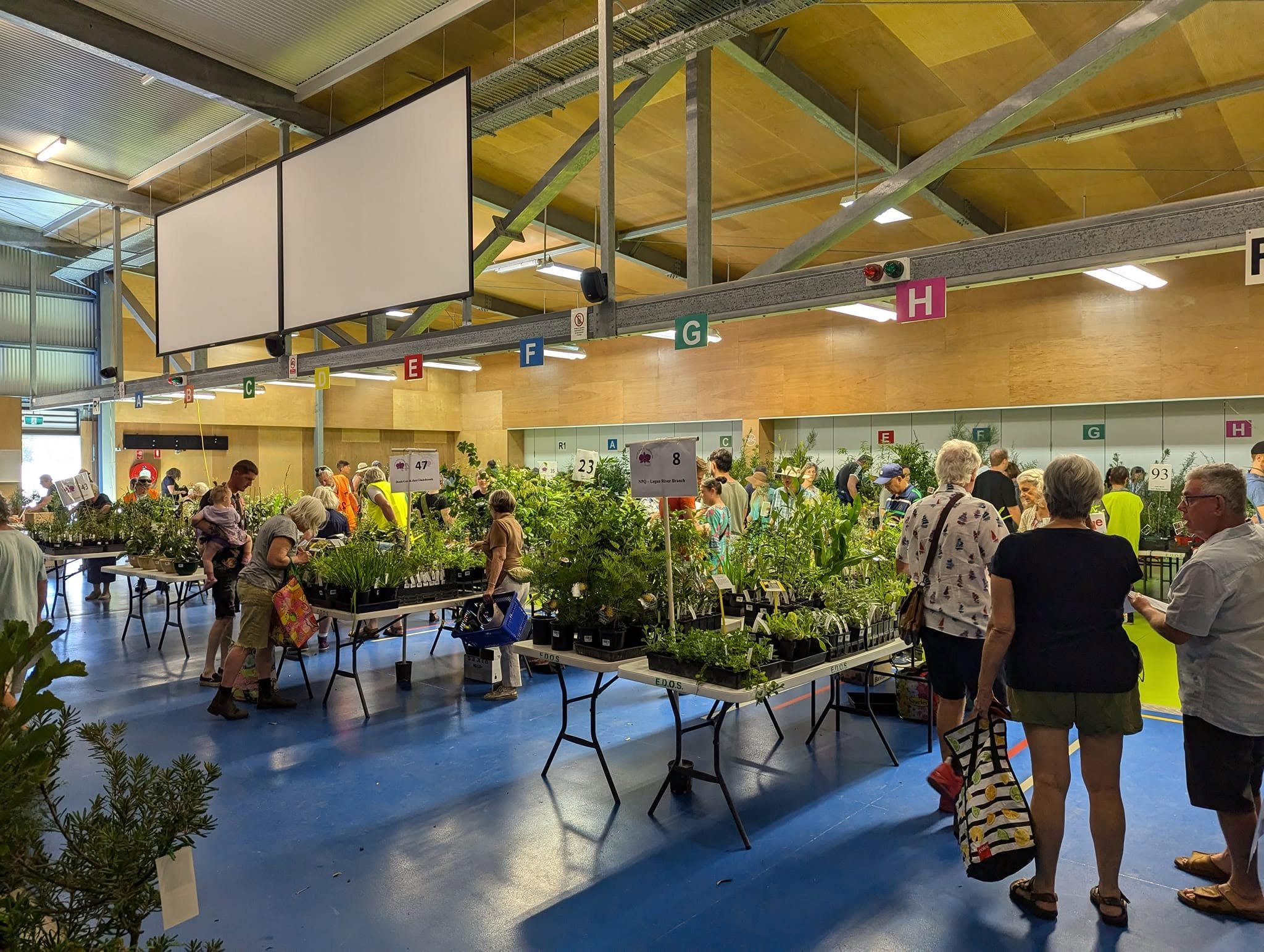 Native Plant Market returns with rare finds and garden inspiration