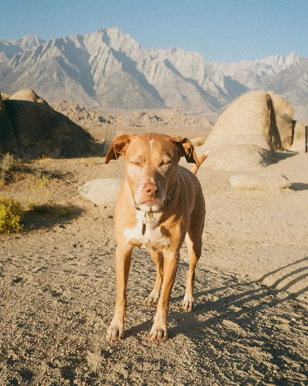 A September weekend in Lone Pine on film