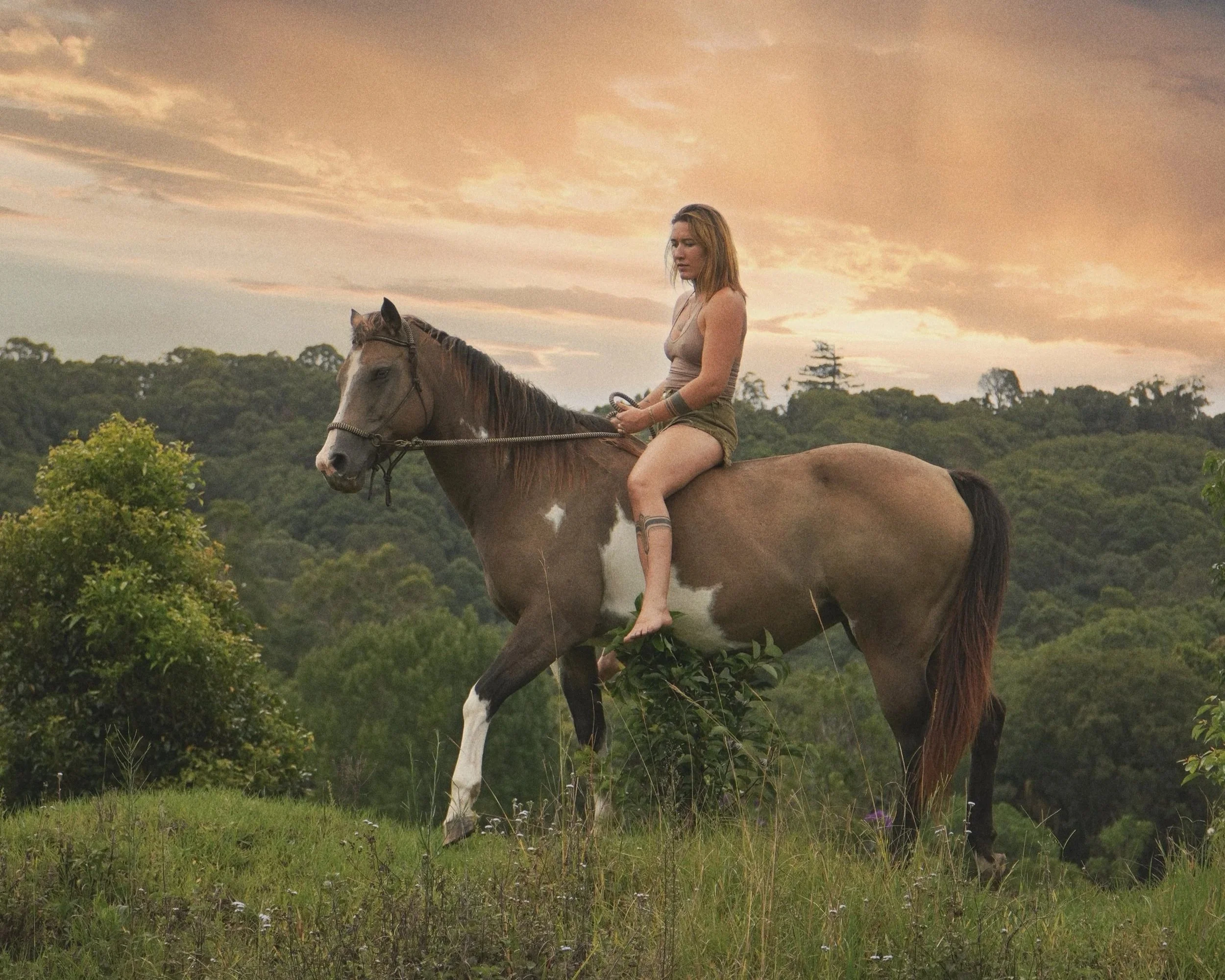 A woman with blonde hair riding a brown and white horse in a grassy field during sunset, with a background of trees and a partly cloudy sky.