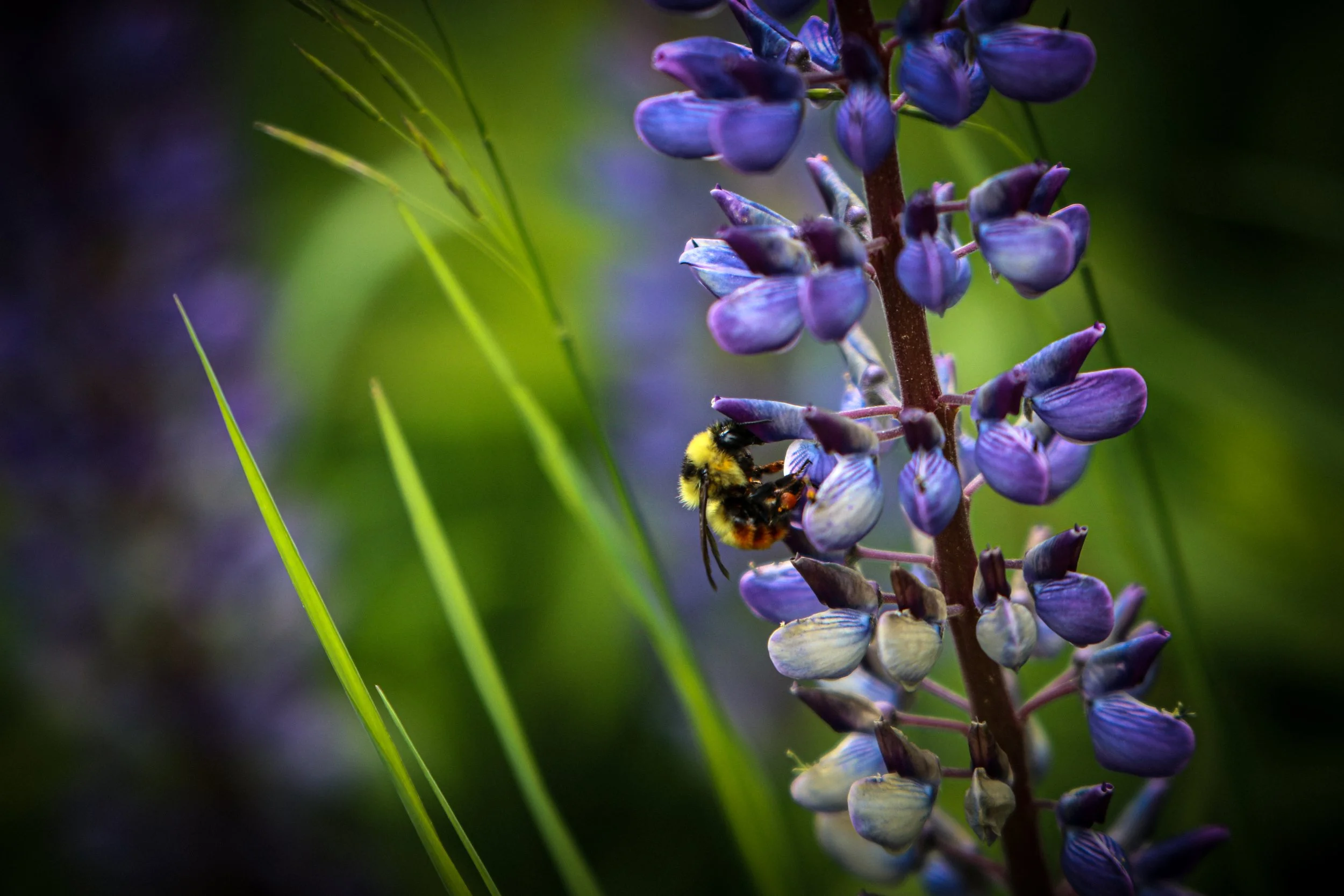 Still February-8.jpg