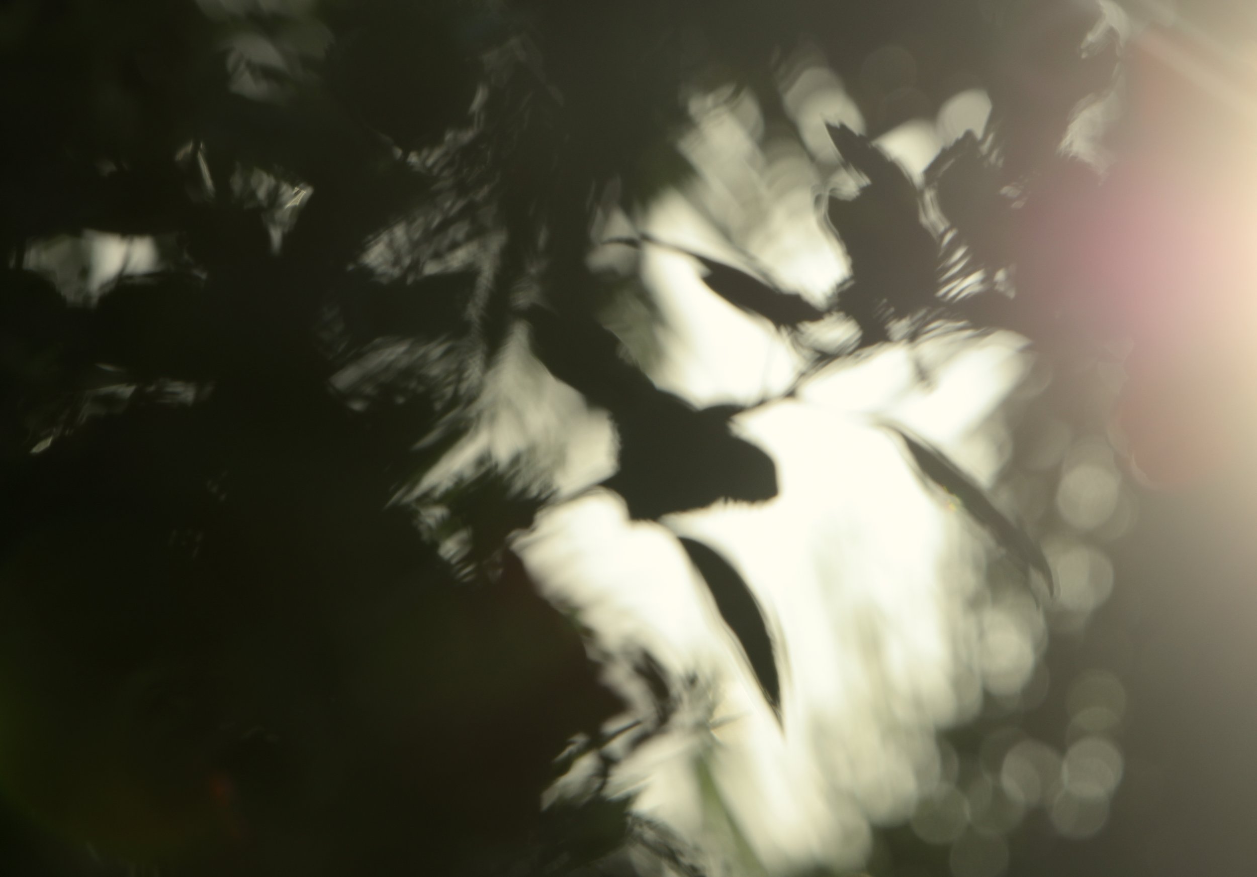 Still February-2.jpg