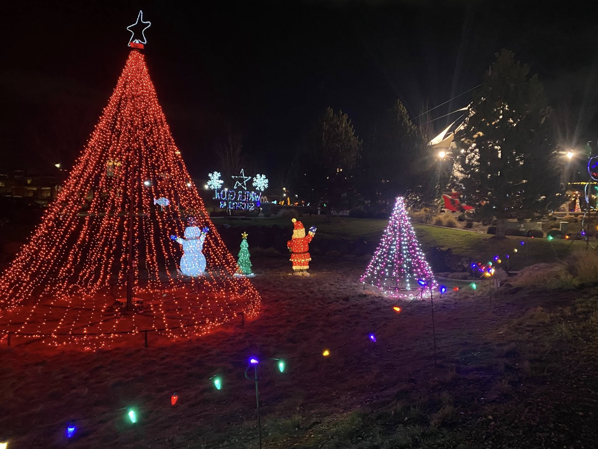 Have You Been to the Kendall Yards Winter Market Yet?