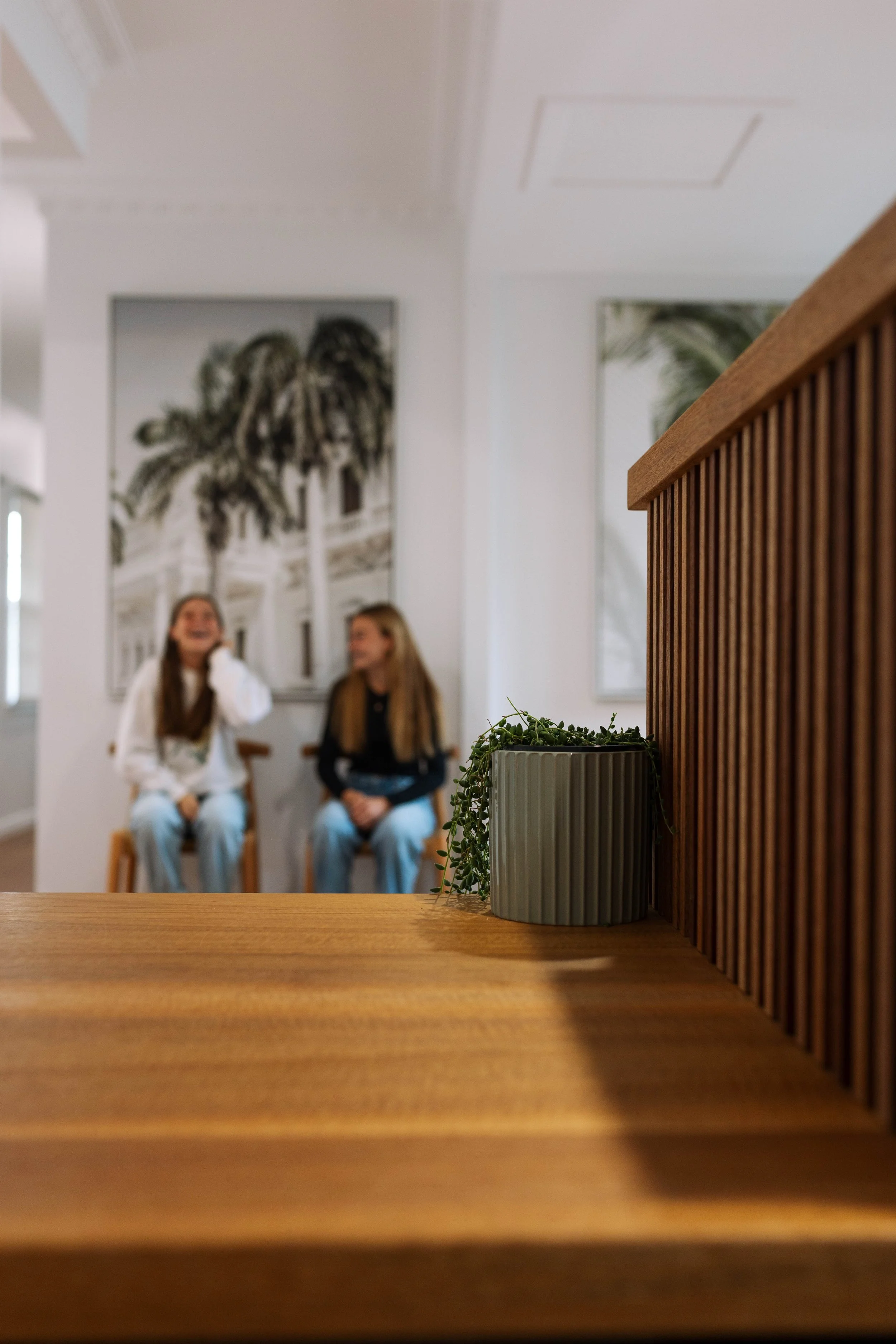 A small potted plant on a wooden table in the foreground with two women sitting on chairs in the background, talking and smiling in a well-lit room with white walls and large framed black and white photographs.
