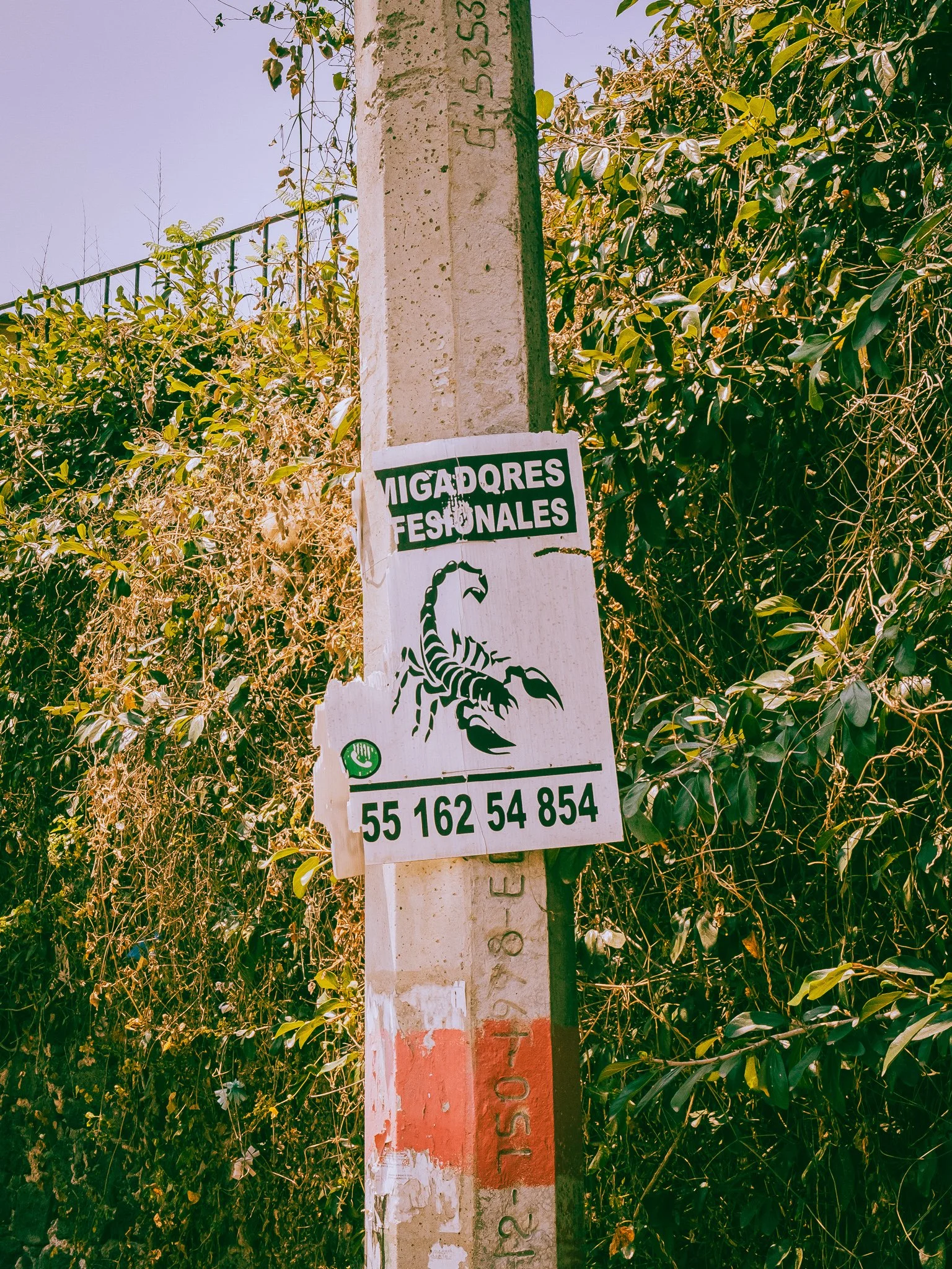 A sign on a utility pole reading "Migadores Fesionales" with a black and green scorpion graphic and a phone number below, surrounded by dense green vegetation.
