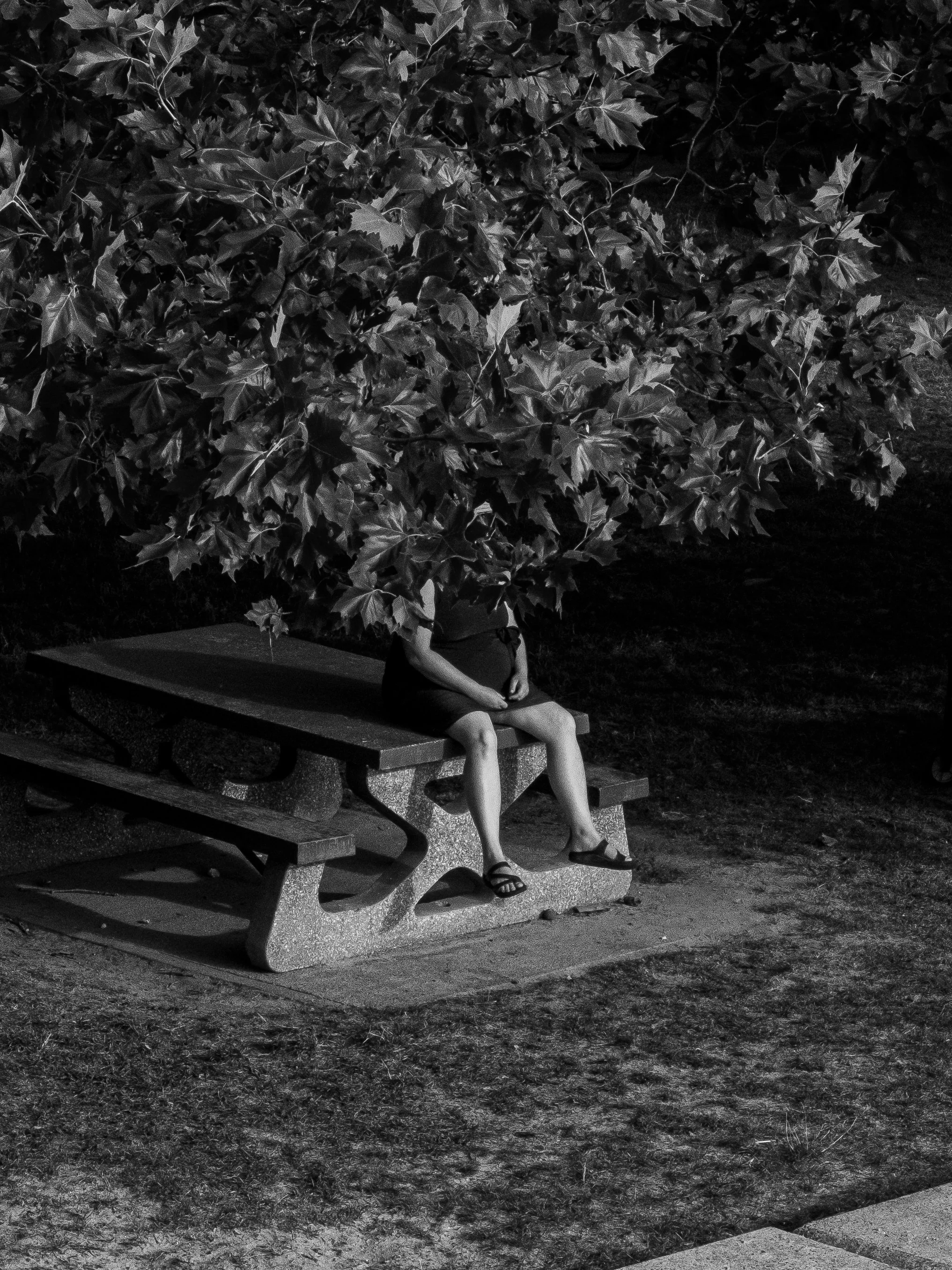 A person sitting alone on a park bench underneath a large tree, facing forward with their hands resting in their lap. The image is in black and white.