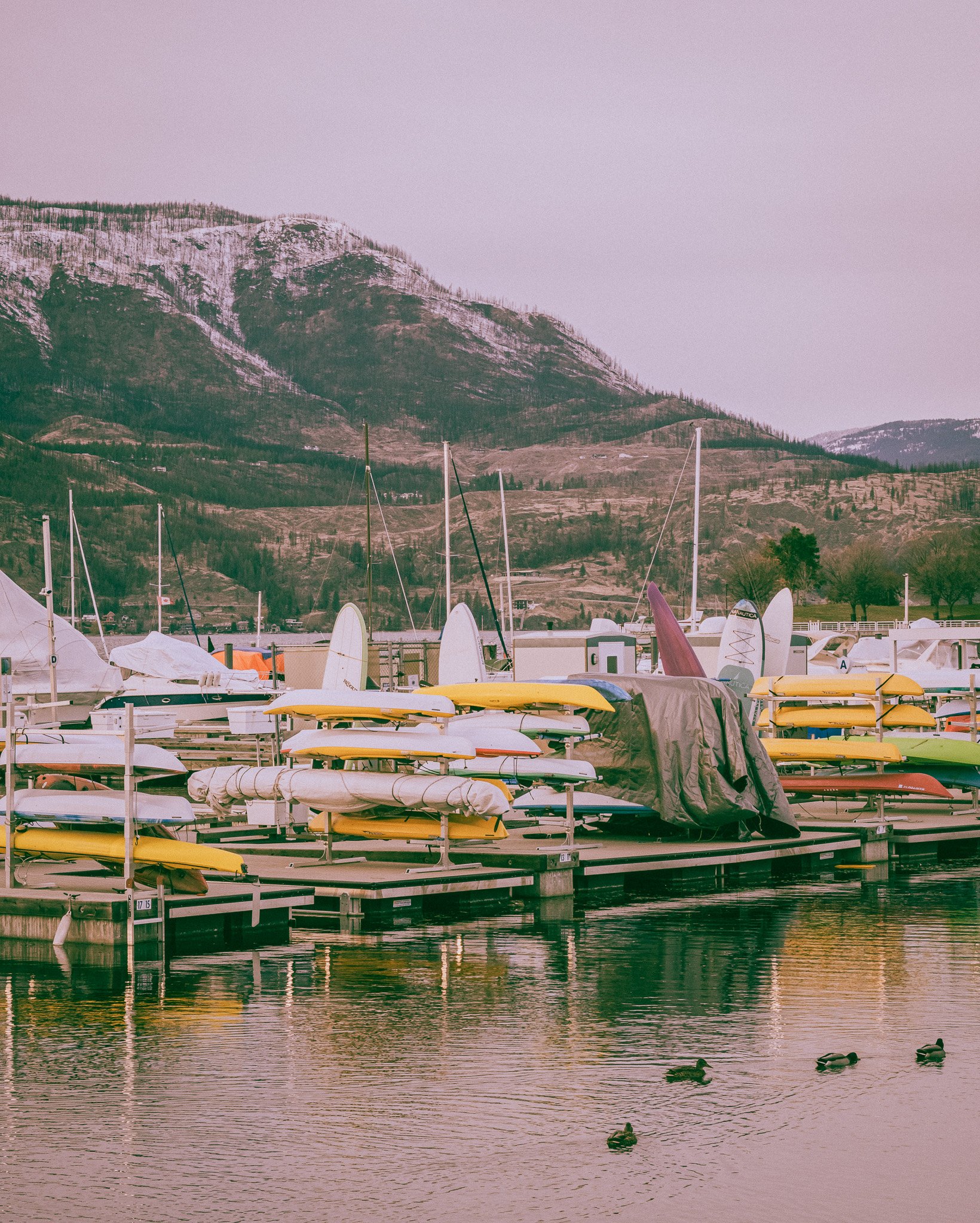 Docks with colorful kayaks and boats on calm water, snow-capped mountains in the background, and ducks swimming in the water.
