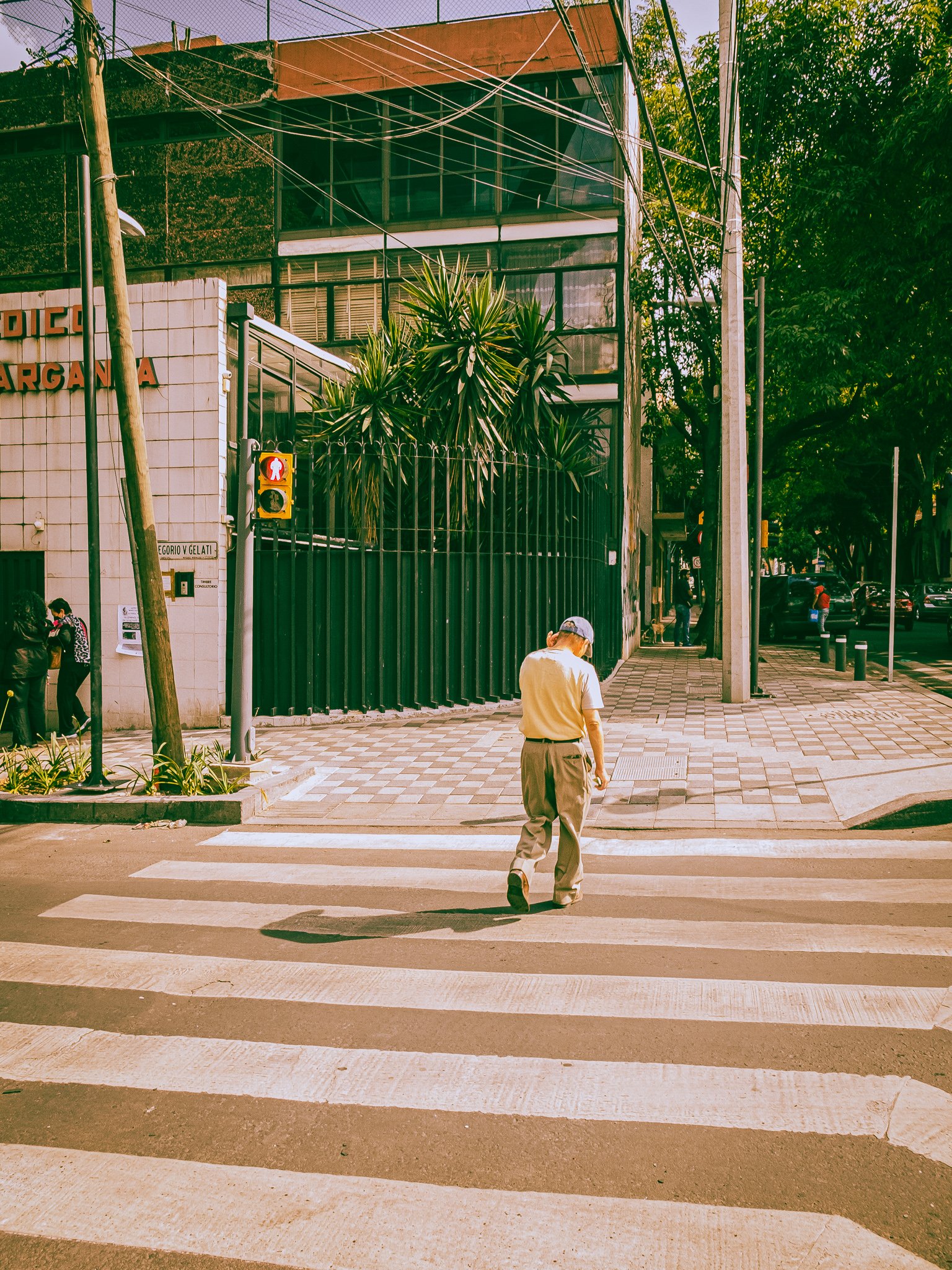 An elderly man crossing a pedestrian crosswalk on a city street with greenery and buildings nearby.