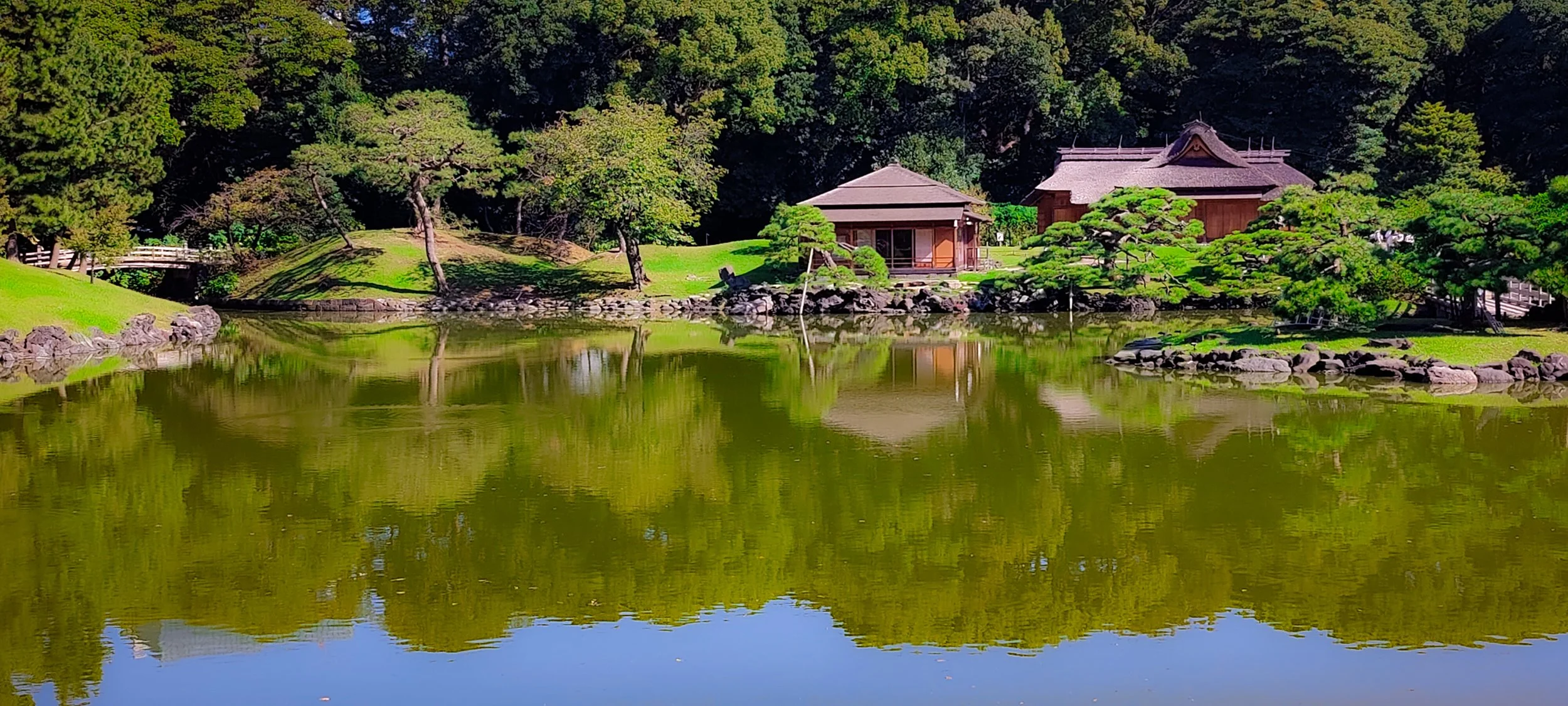 A color landscape photo of a park in Tokyo, Japan.